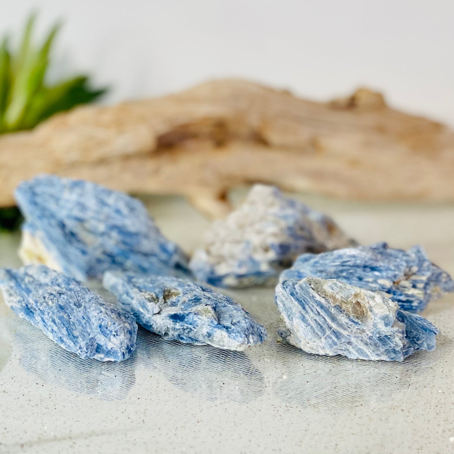 Raw Blue Kyanite for Communication & Self-Expression: The Stone of Alignment