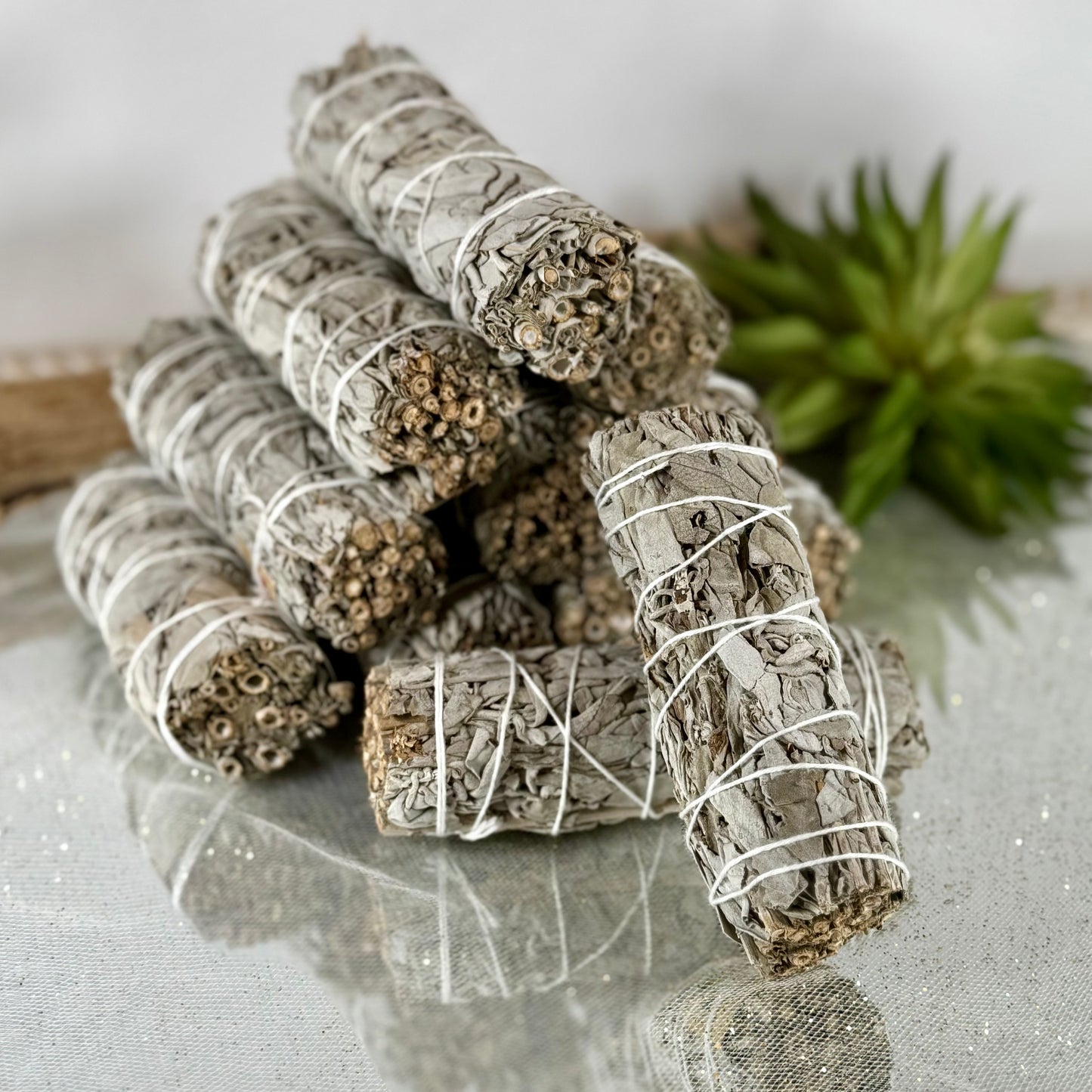 White Sage Bundle – 4” (Salvia apiana) from Mexico