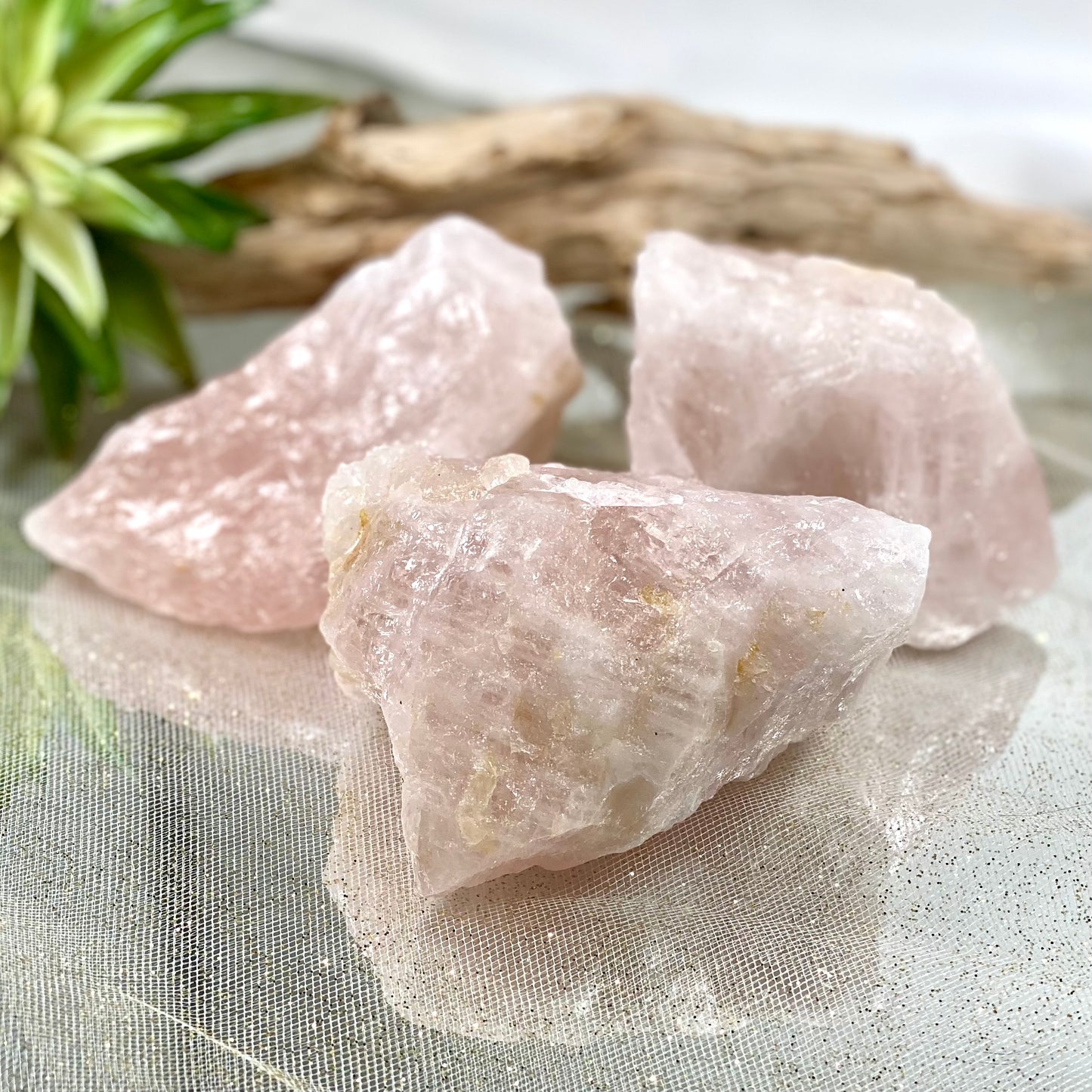 Rose Quartz Raw Chunk - CBTS