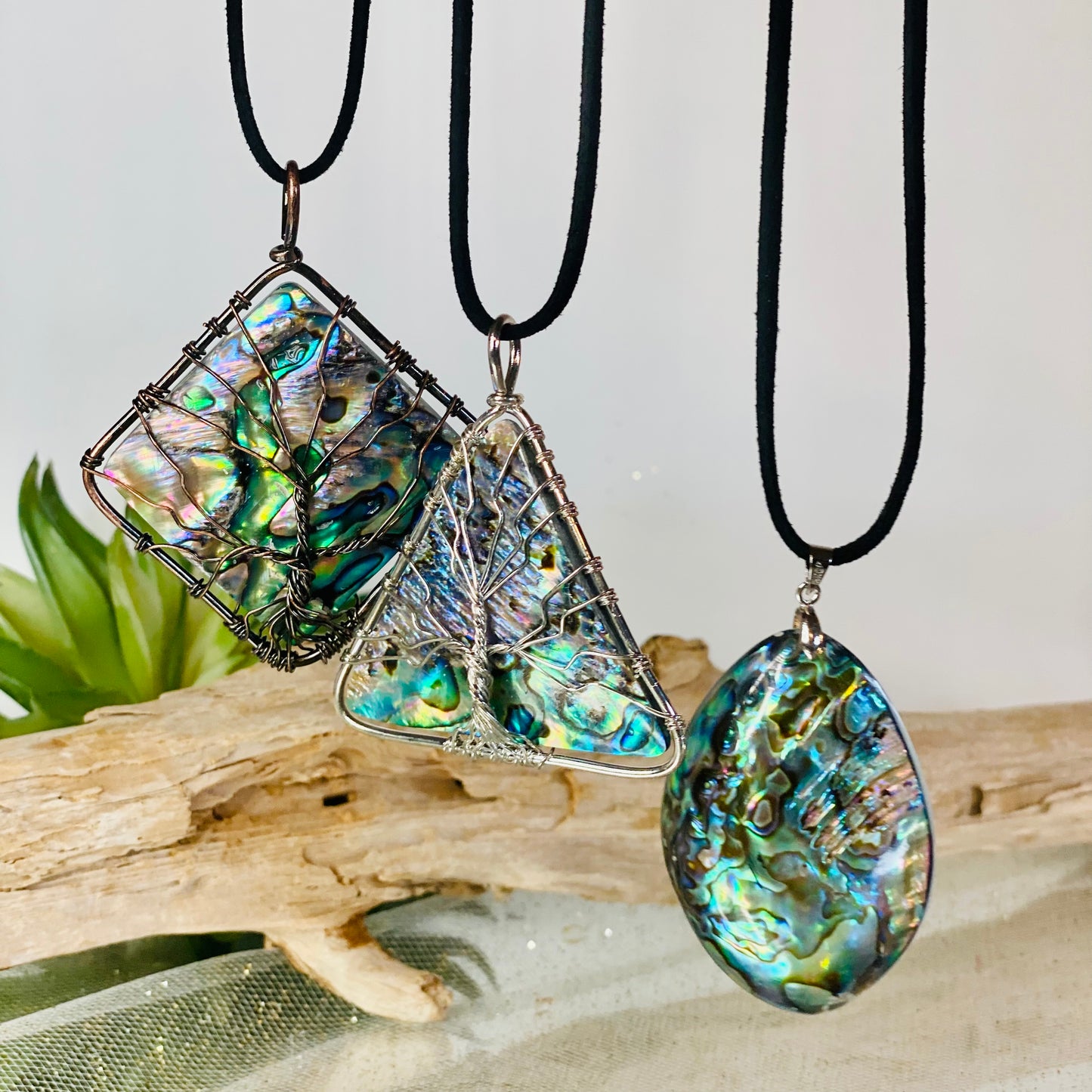 Abalone Shell Pendants- CBTS