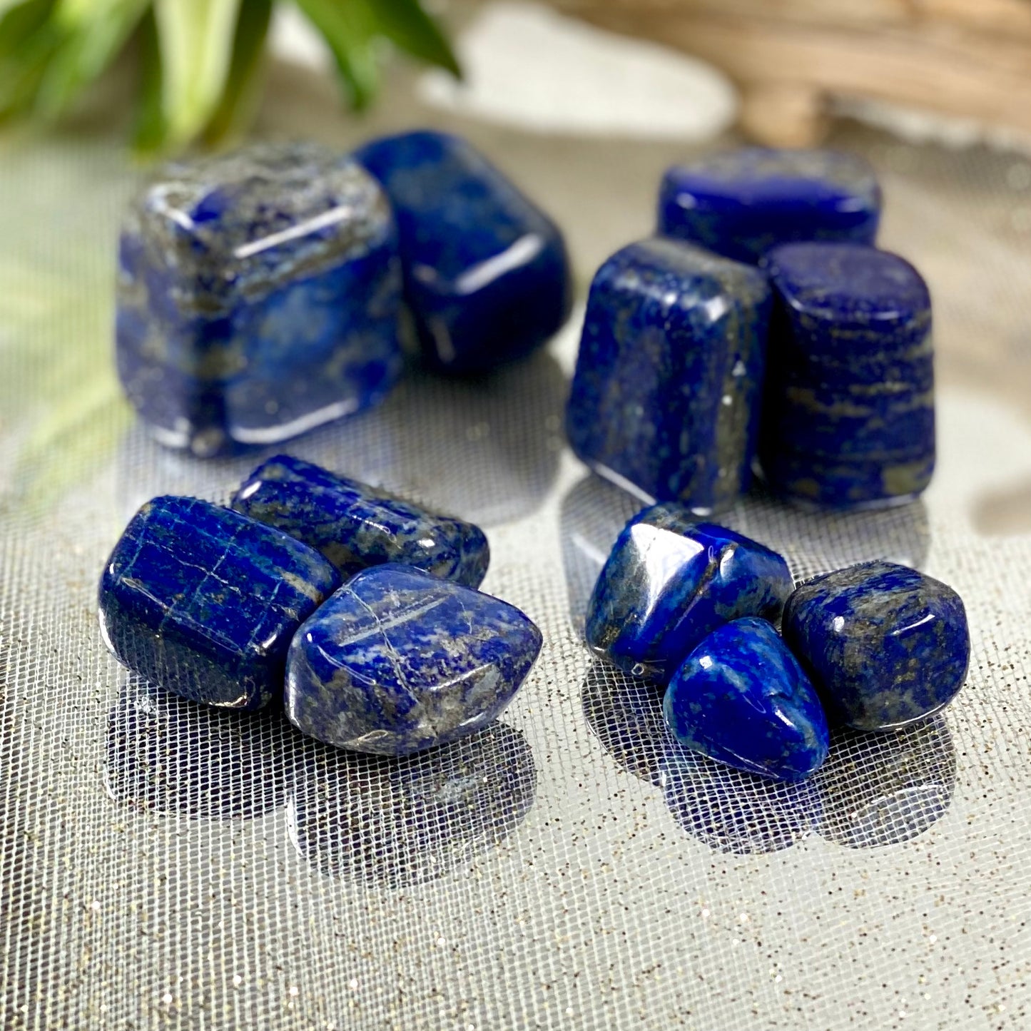Lapis Lazuli Tumbled Crystals-CBTS