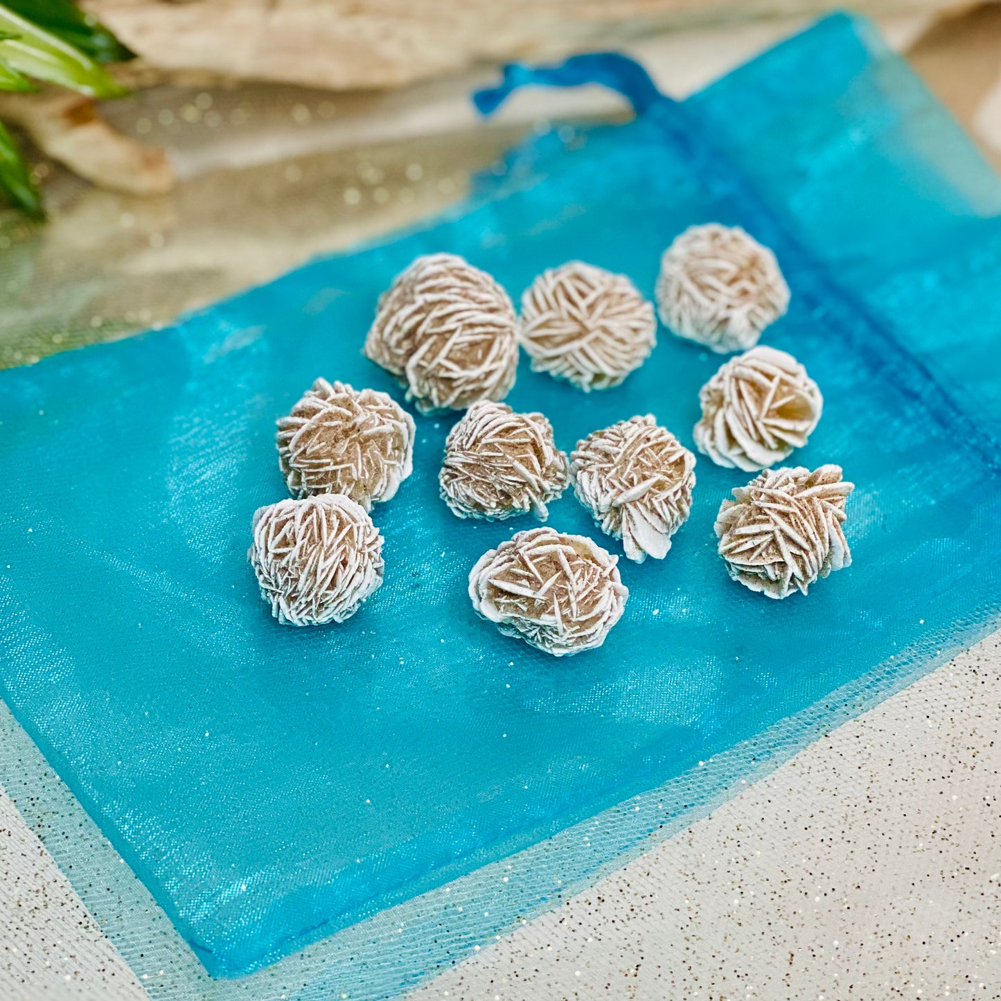 Mini Desert Rose Raw Stone - Natural Beauty and Earthly Energies for Grounding!
