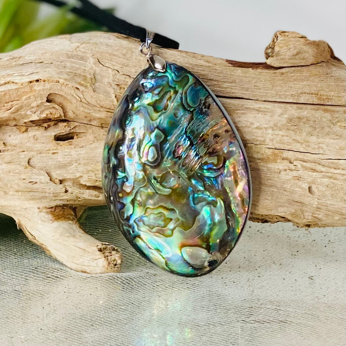 Abalone Shell Pendants- CBTS