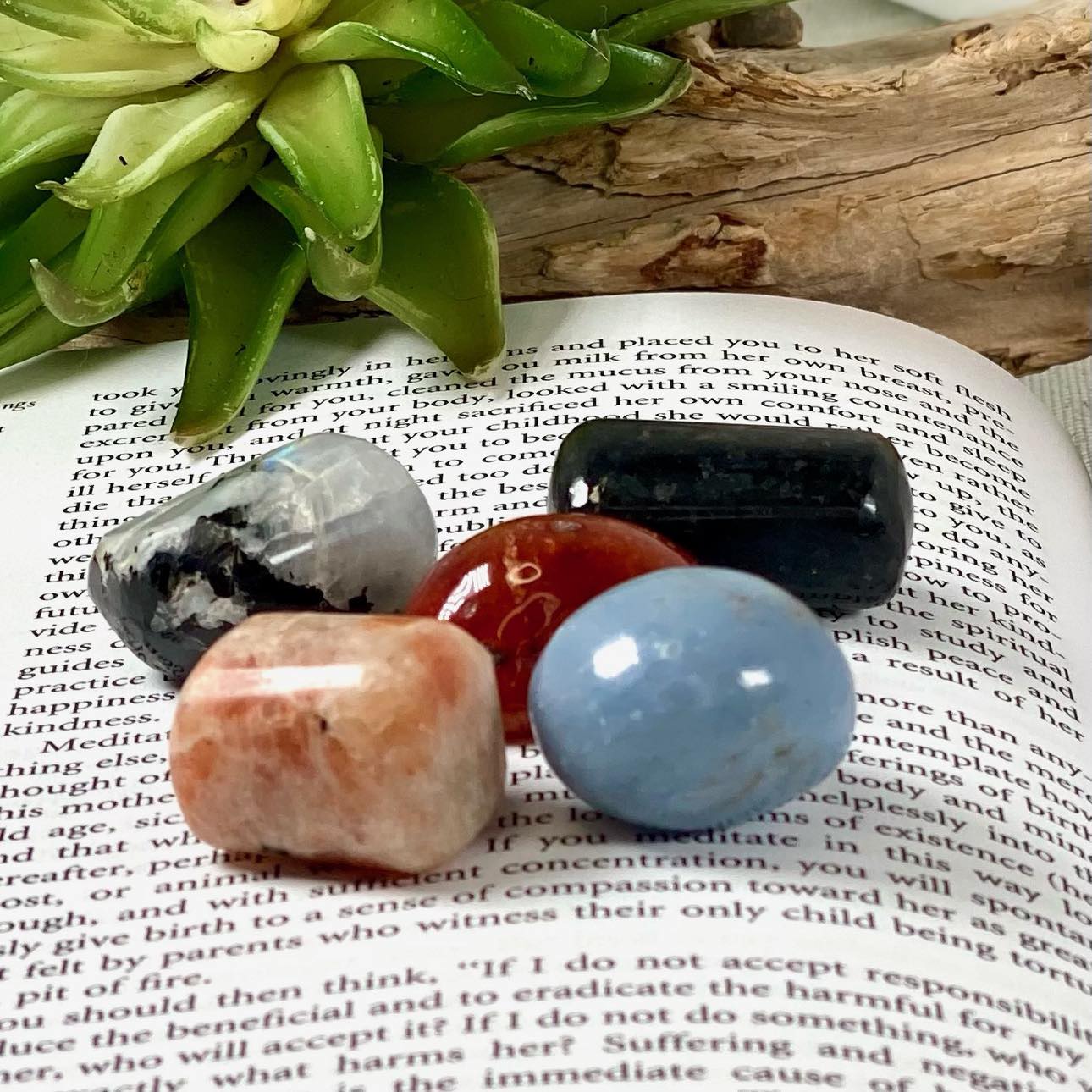 "My Best and Last" Novel by Jill Rice Crystal Collection Set
