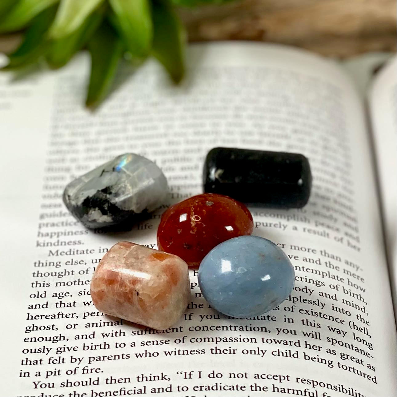 "My Best and Last" Novel by Jill Rice Crystal Collection Set