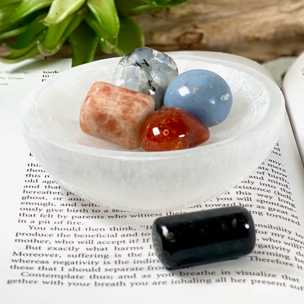"My Best and Last" Novel by Jill Rice Crystal Collection Set