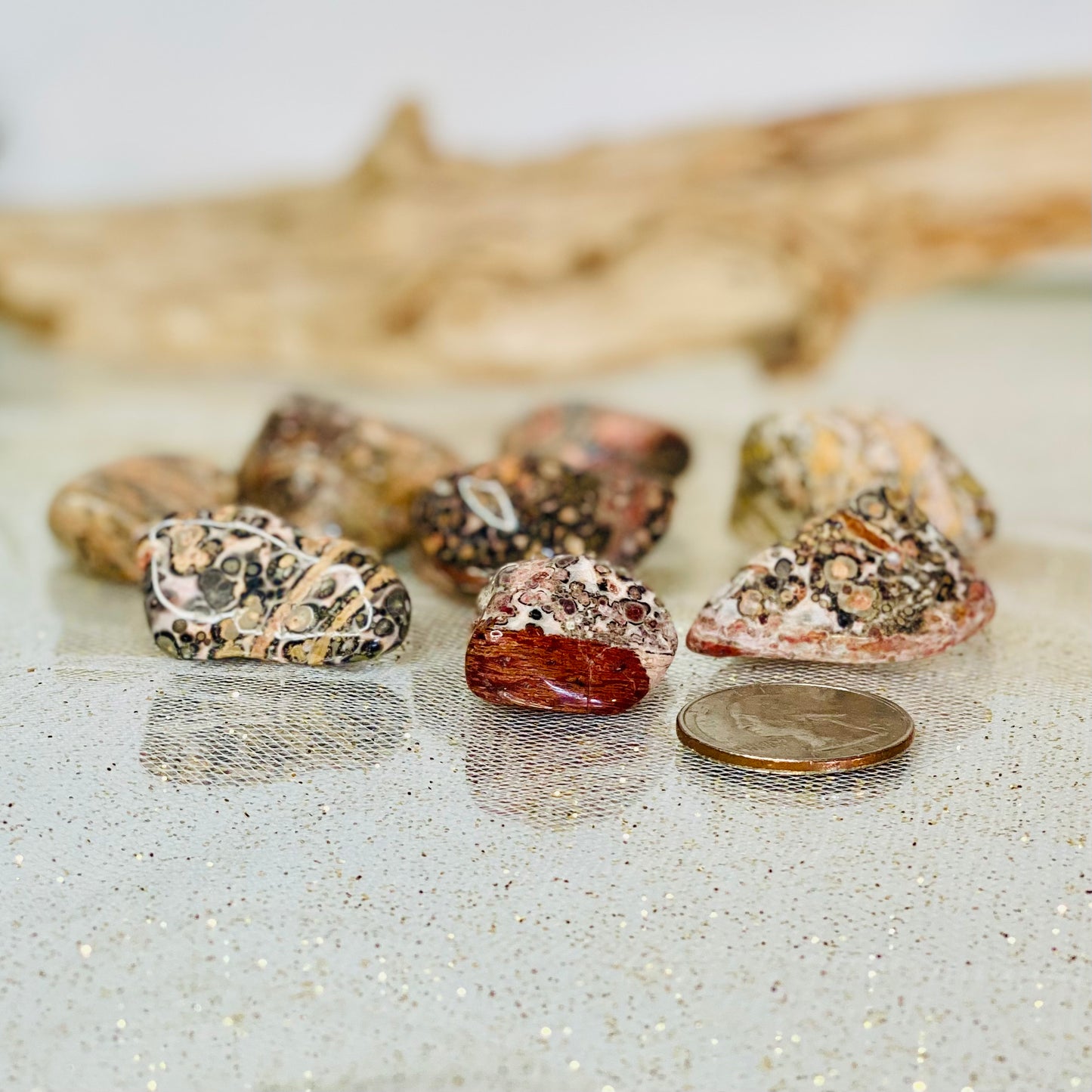 Leopardskin Jasper Tumbled Stone - Natural Gemstone for Grounding and Protection