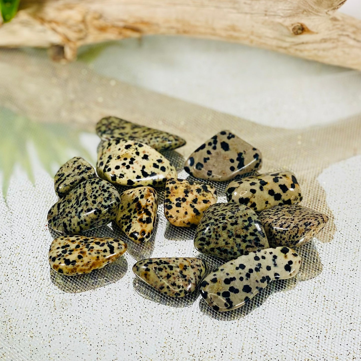 Dalmatian Jasper Tumbled Stone - Natural Beauty for Grounding and Joy