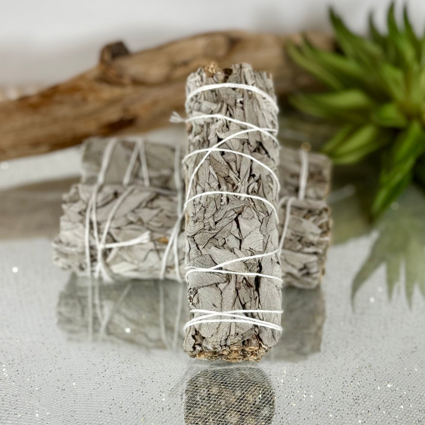White Sage Bundle – 4” (Salvia apiana) from Mexico