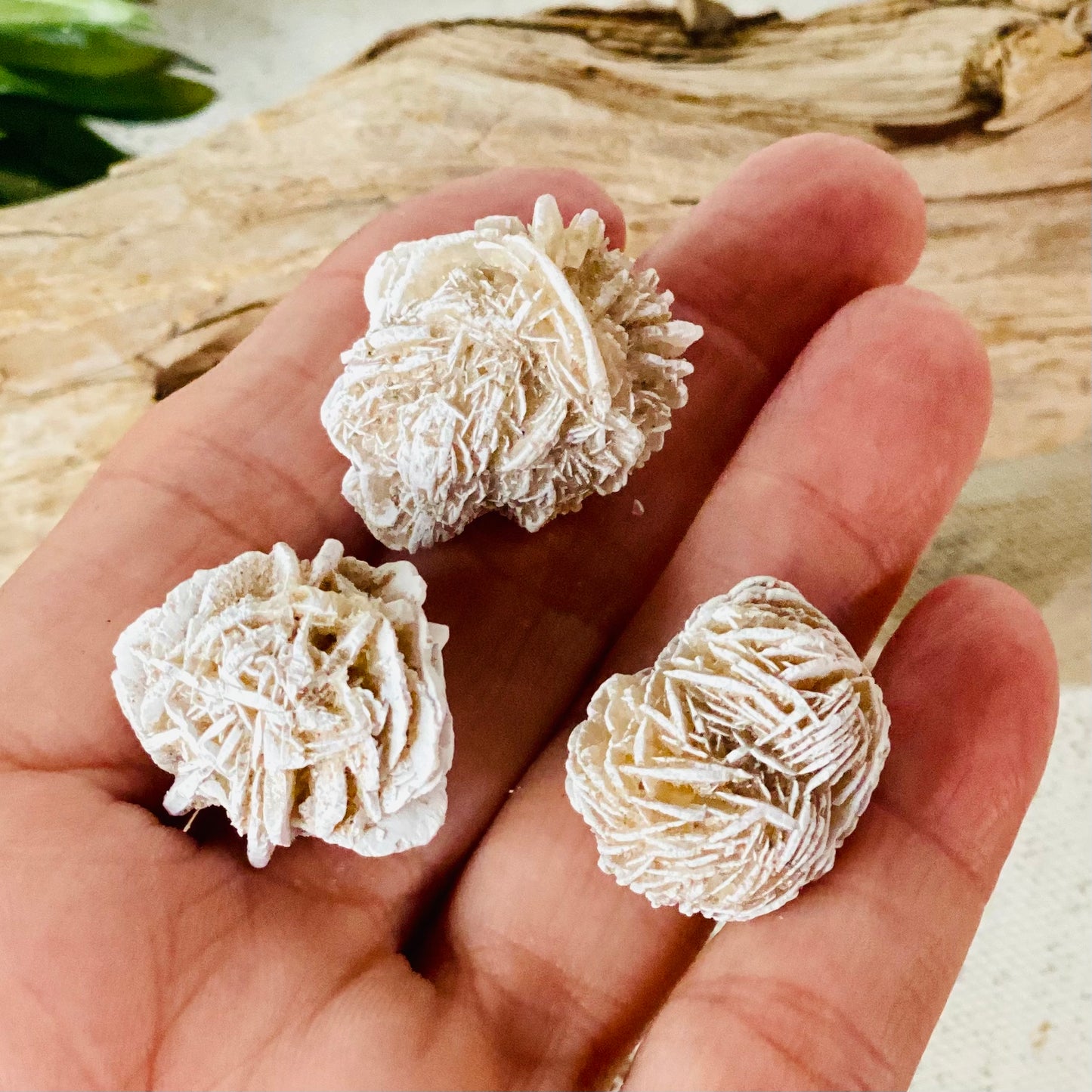 Mini Desert Rose Raw Stone - Natural Beauty and Earthly Energies for Grounding!