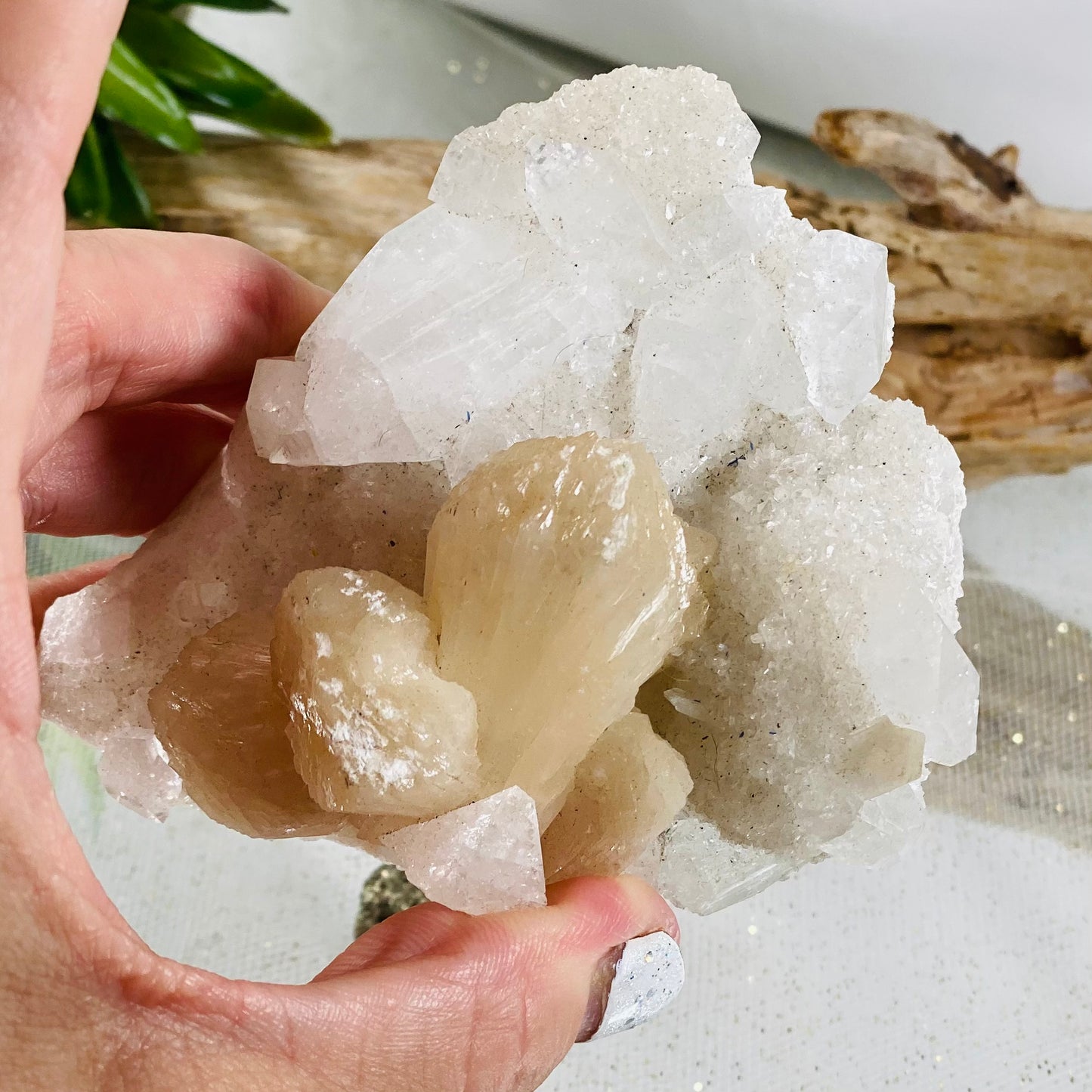 Stilbite on Apophyllite Cluster for Intuition, Clarity, and Spiritual Growth