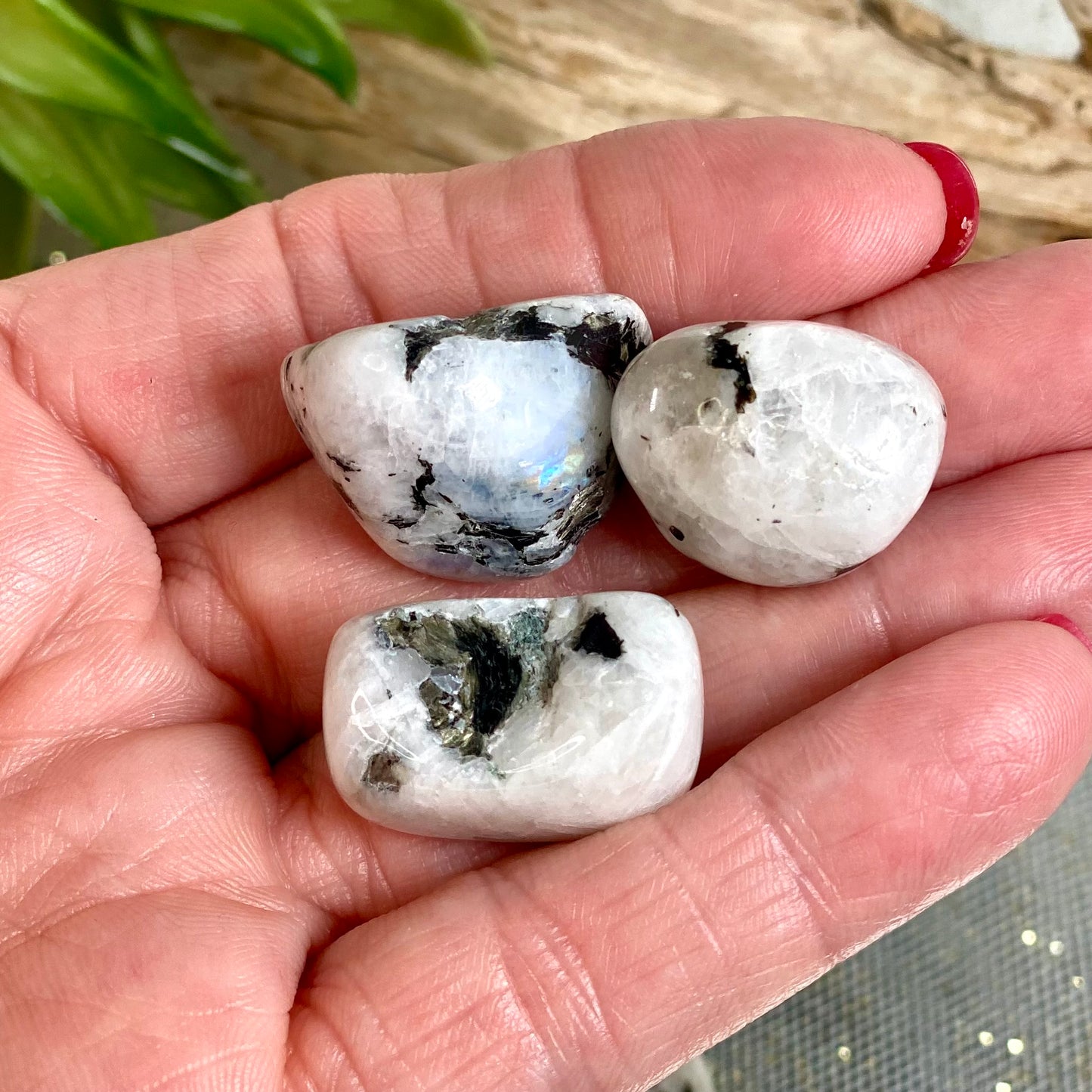 Radiant Rainbow Moonstone Tumbled Crystal for Emotional Healing