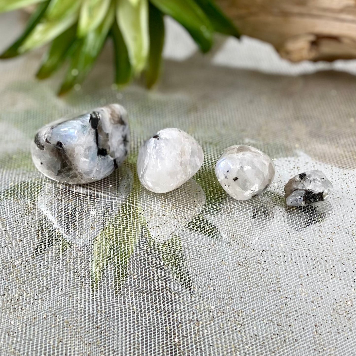 Radiant Rainbow Moonstone Tumbled Crystal for Emotional Healing