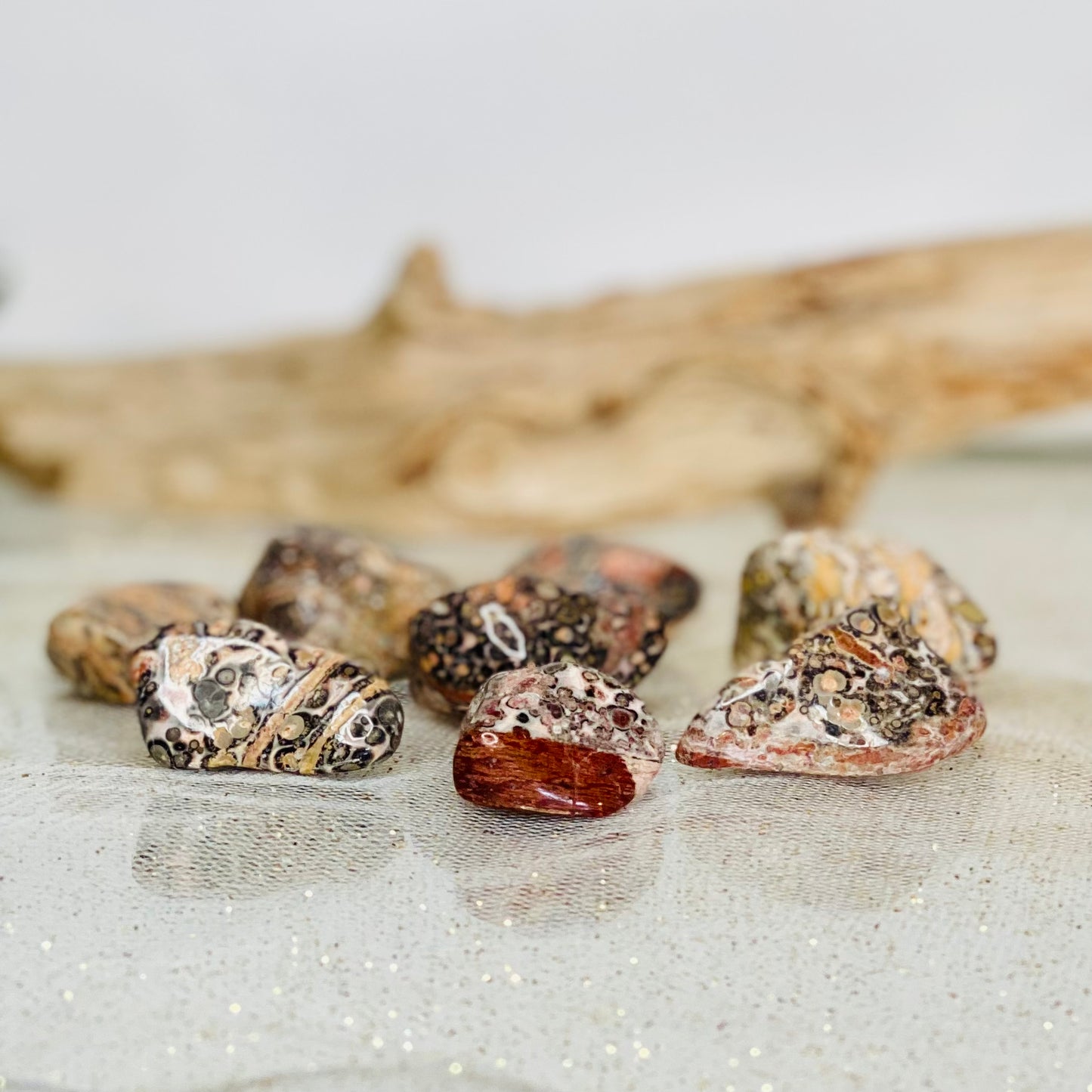 Leopardskin Jasper Tumbled Stone - Natural Gemstone for Grounding and Protection