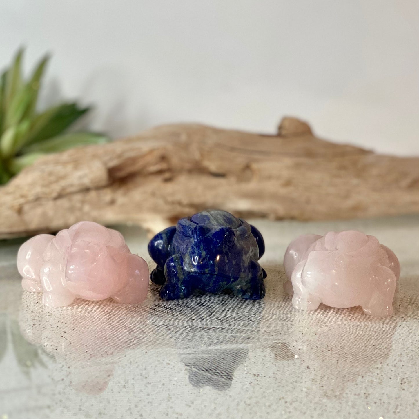 Invoke Frog energy to help with transformation, abundance & renewal!