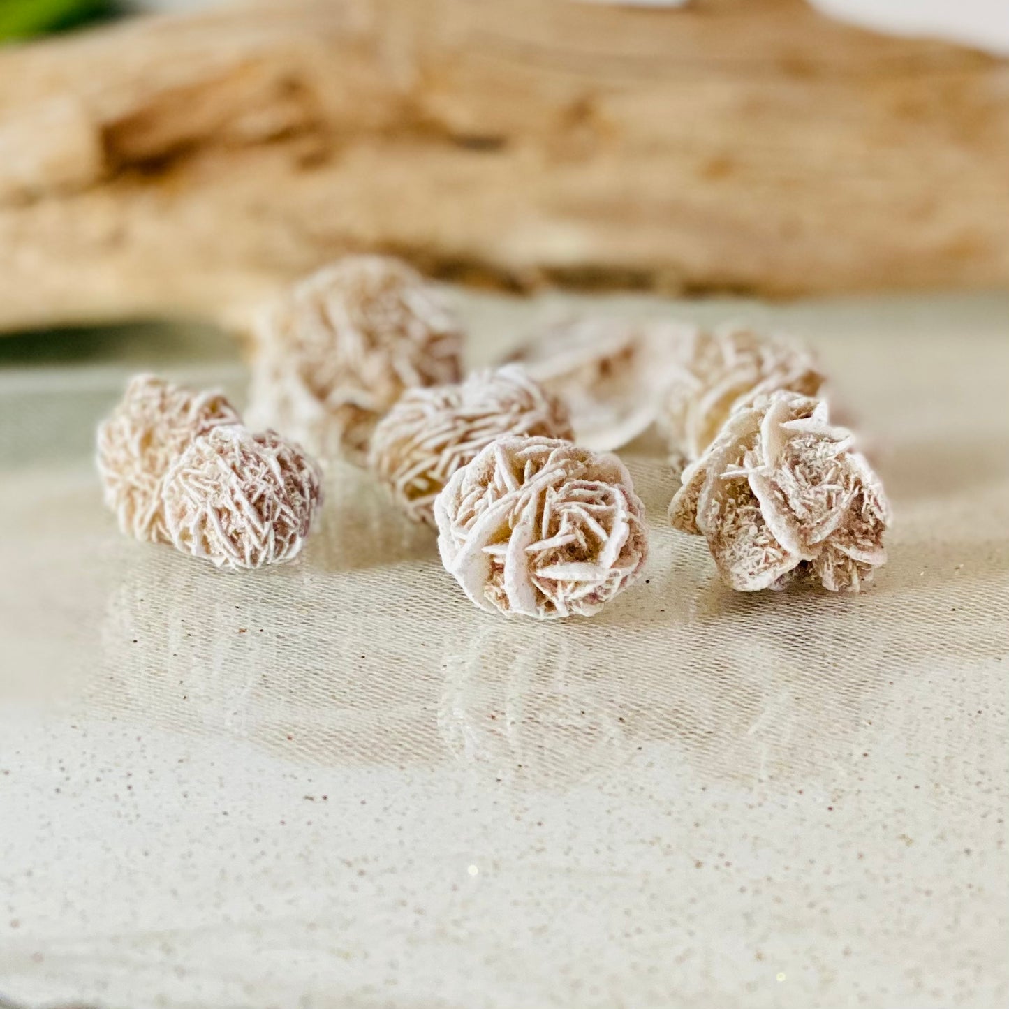 Mini Desert Rose Raw Stone - Natural Beauty and Earthly Energies for Grounding!