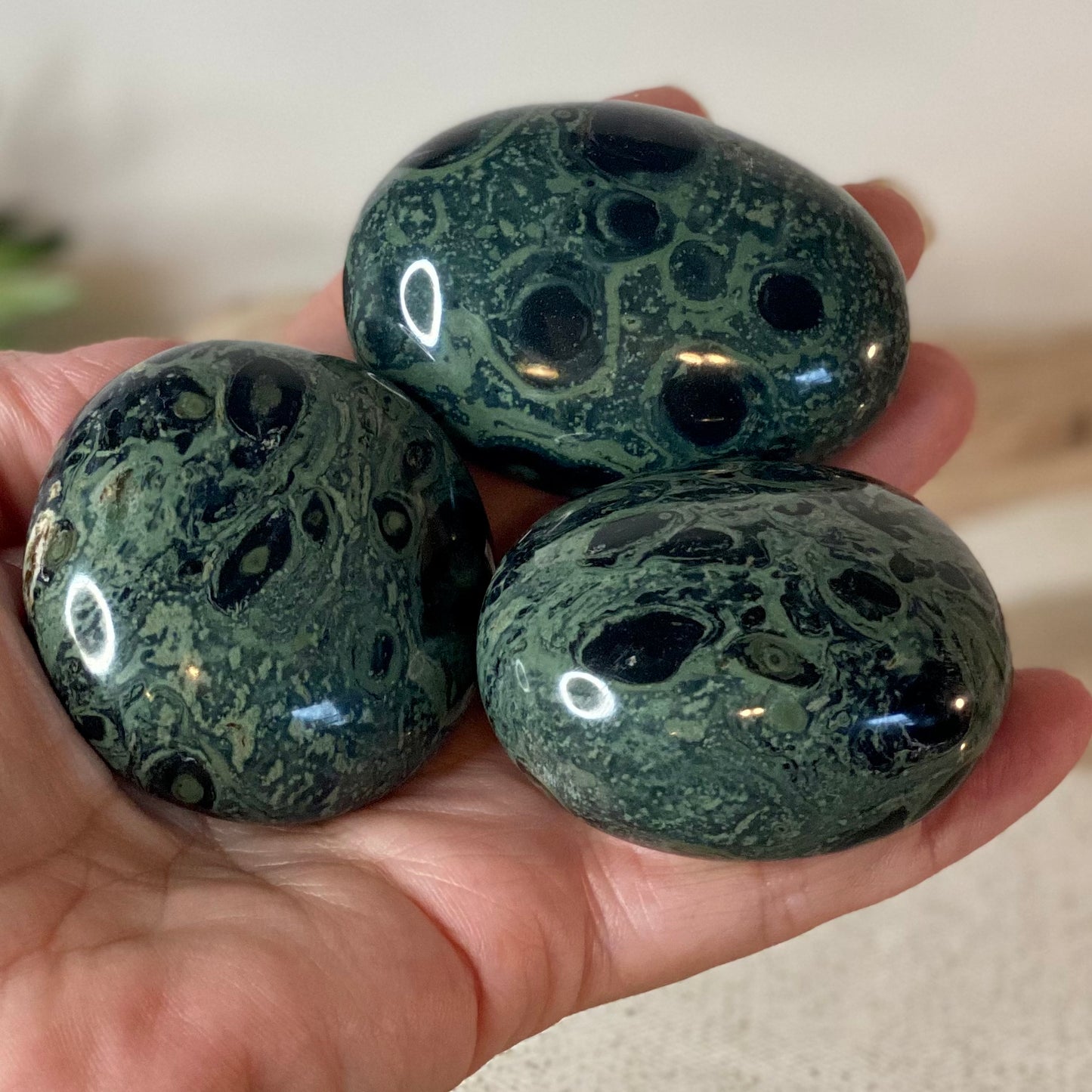 Kambaba Jasper Palm Stones -CBTS