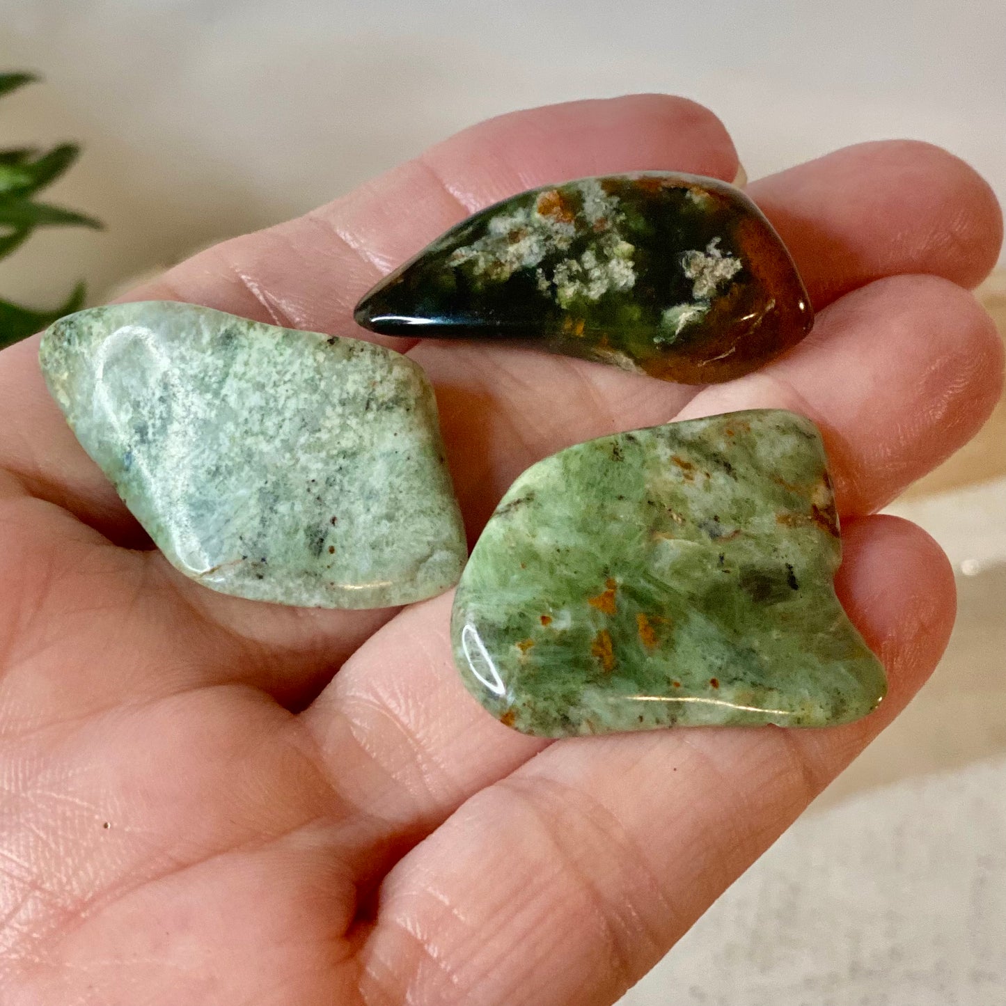Chrysoprase Tumbled Stones from Madagascar: Nature's Green Serenity