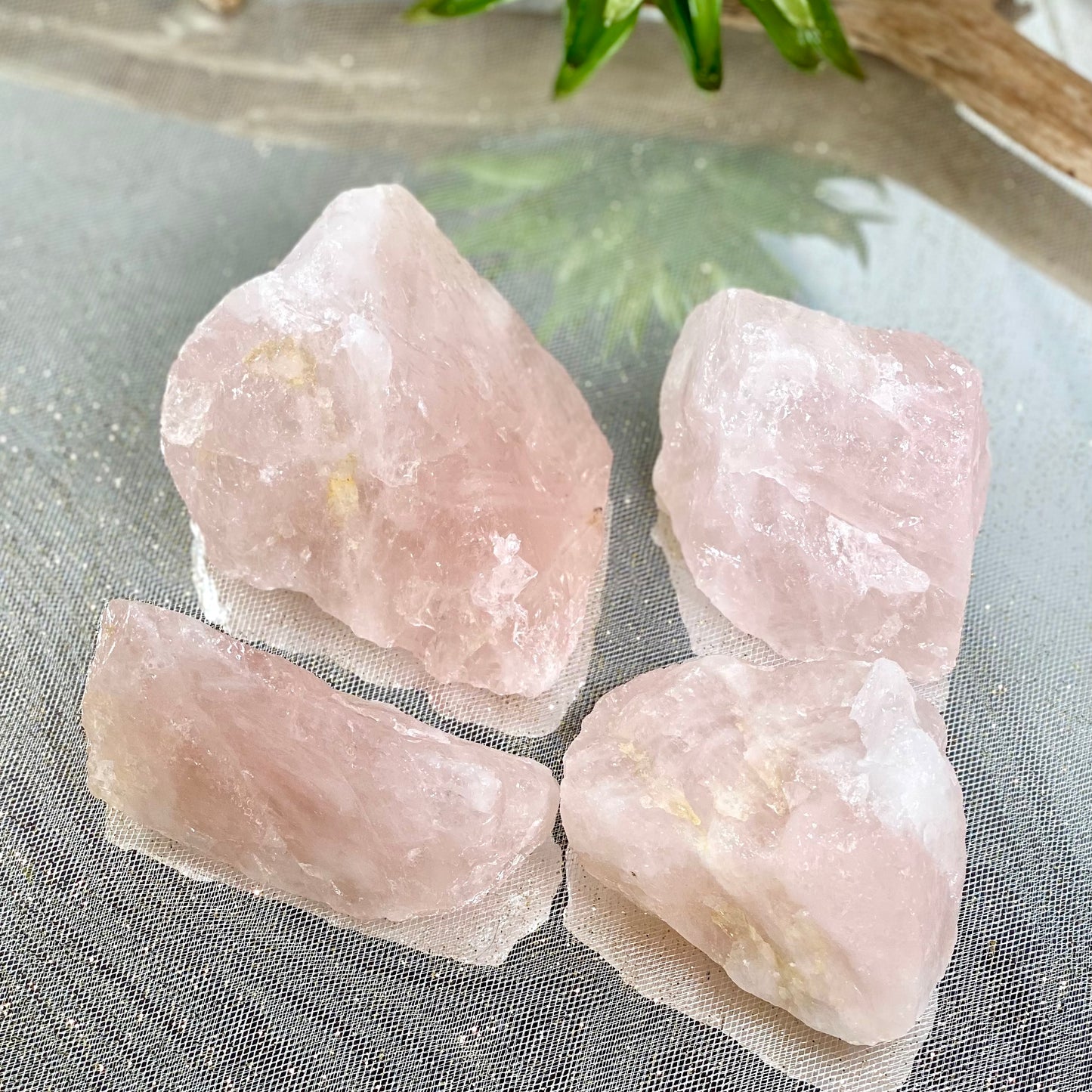 Natural Rose Quartz Raw Chunks - Healing Crystal for Love and Harmony