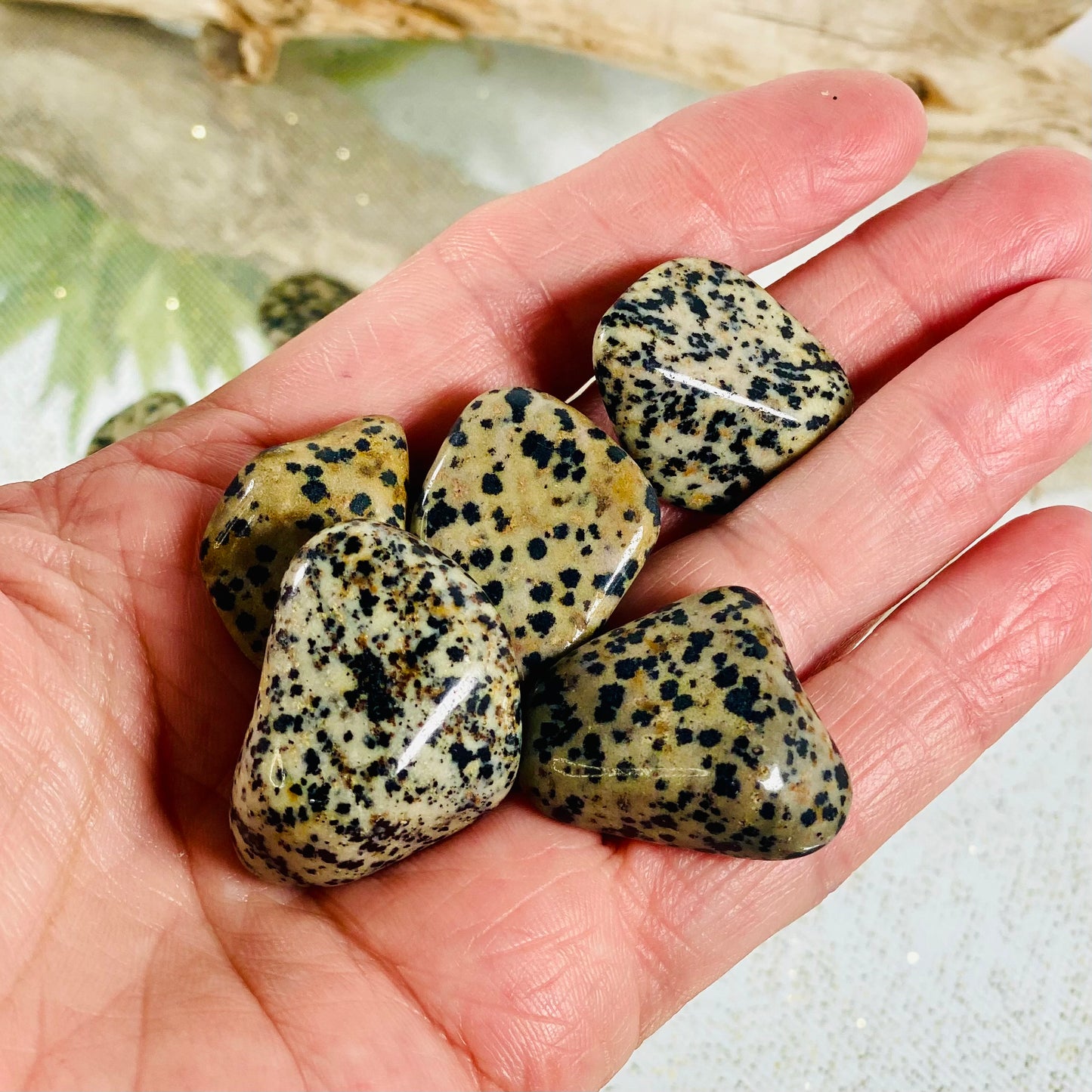Dalmatian Jasper Tumbled Stone - Natural Beauty for Grounding and Joy