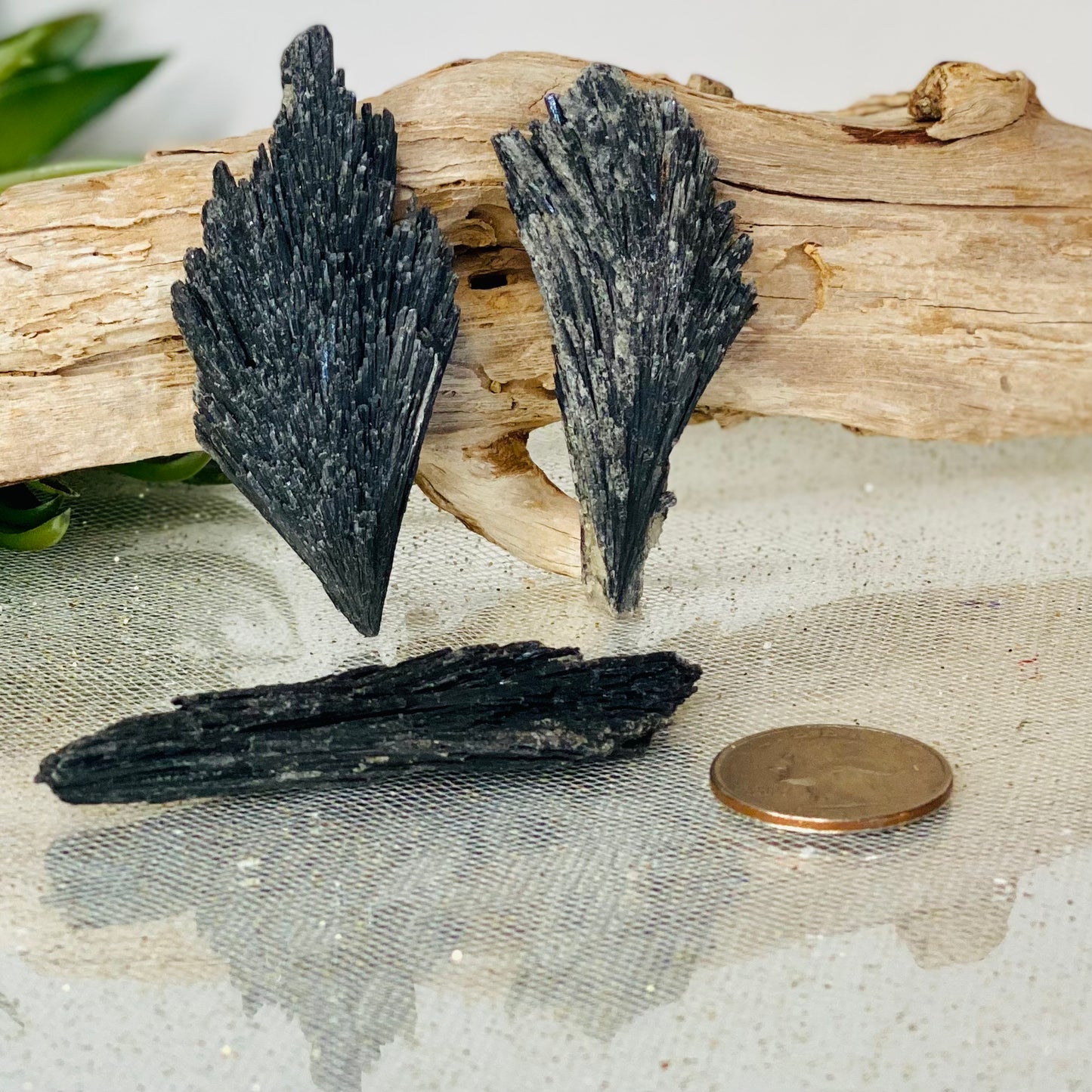 Black Kyanite Raw Crystal Blade - Energy Clearing Tool