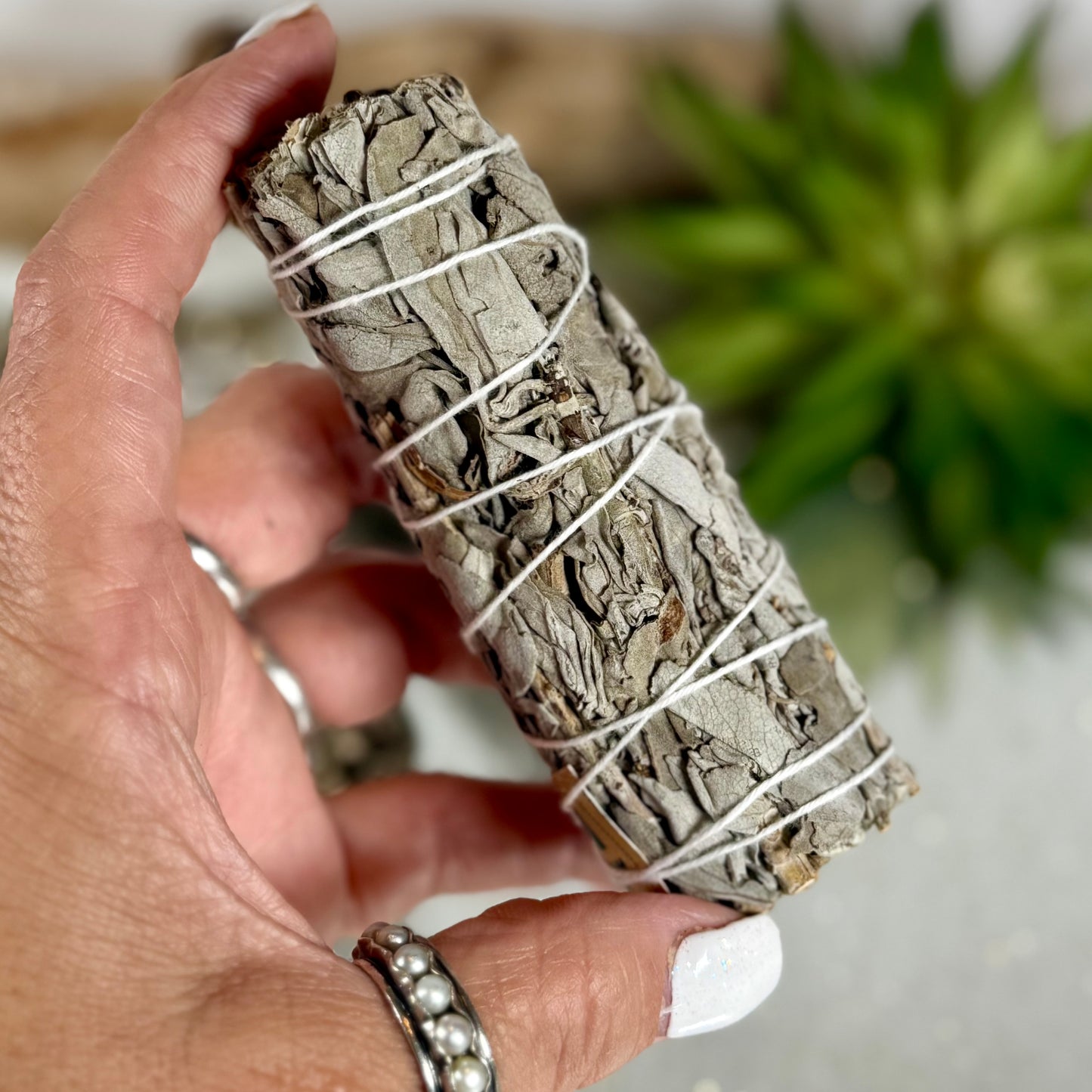 White Sage Bundle – 4” (Salvia apiana) from Mexico
