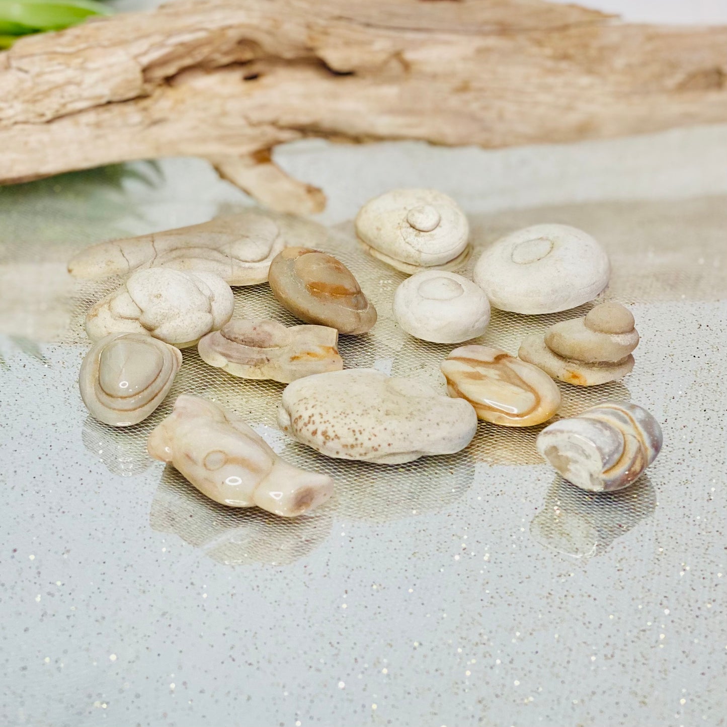 Fairy Stones-CBTS