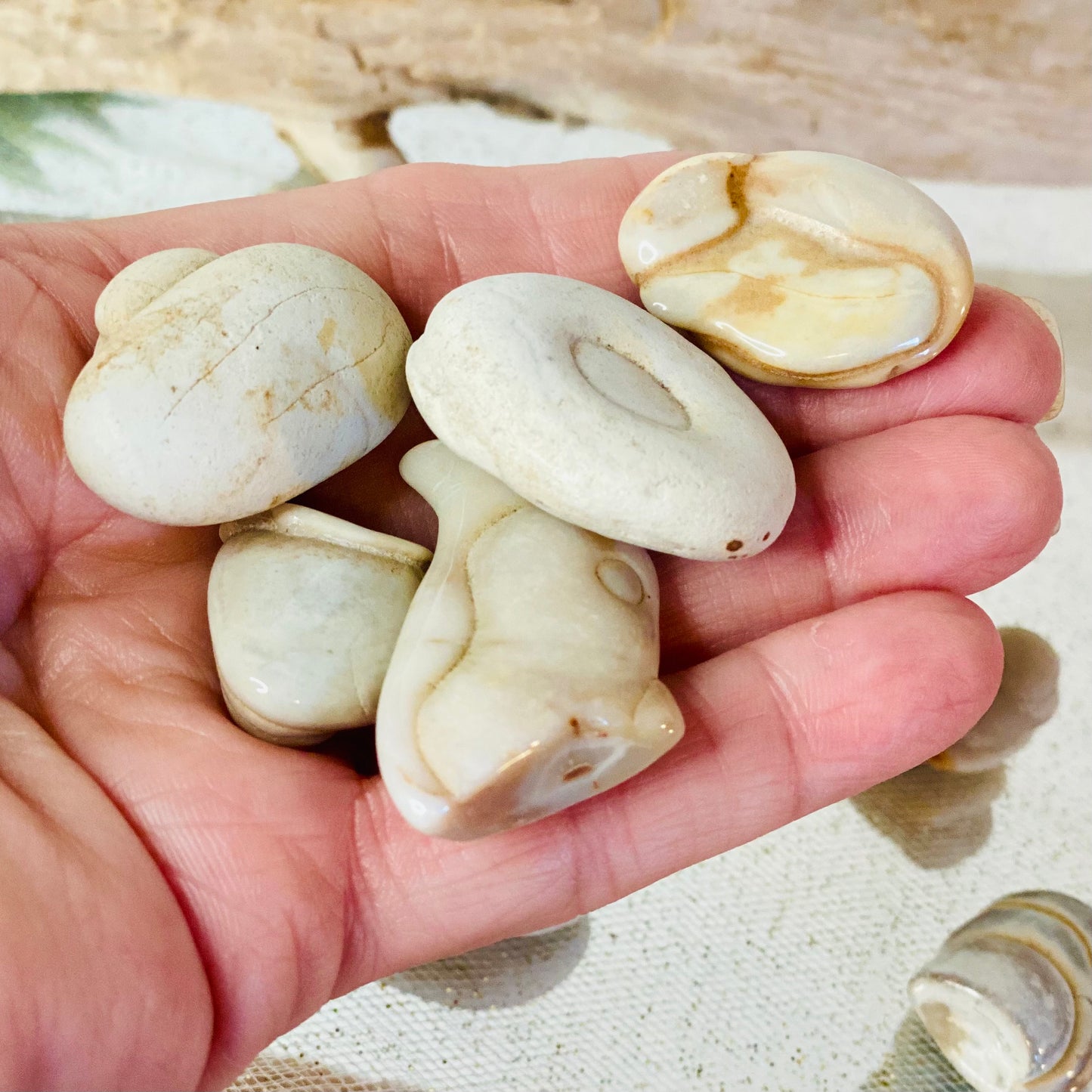 Fairy Stones-CBTS