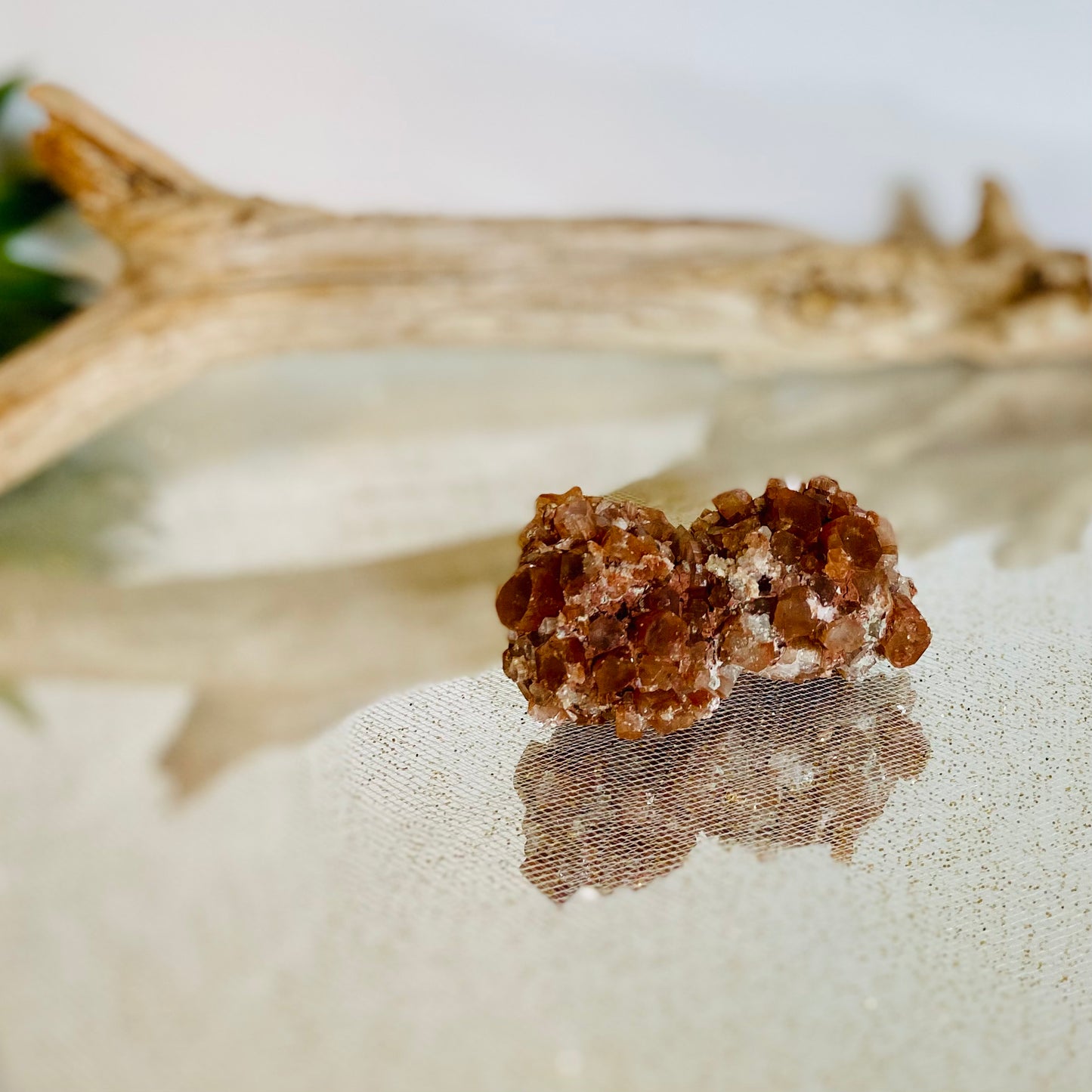 Aragonite RARE DOUBLE Star Cluster: Natural Beauty for Grounding and Stability - 3oz