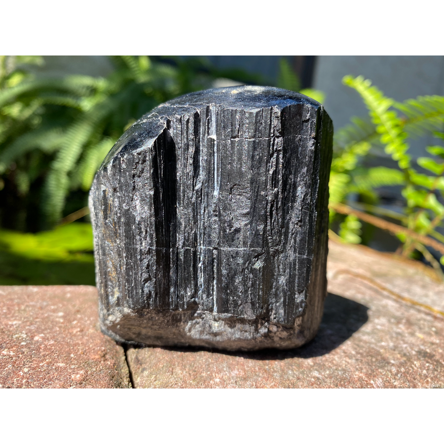 Black Tourmaline Raw Crystal with Polished Top for Protection & Grounding