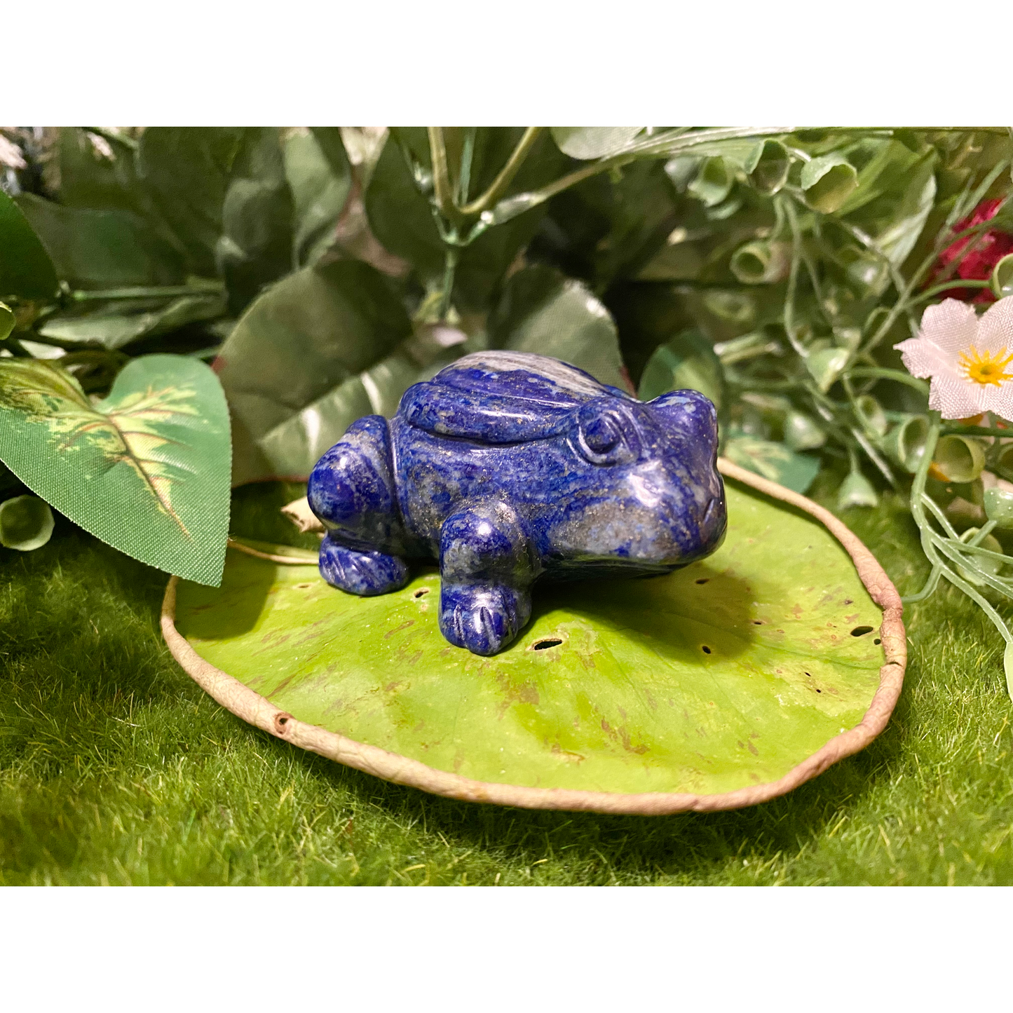 Invoke Frog energy to help with transformation, abundance & renewal!