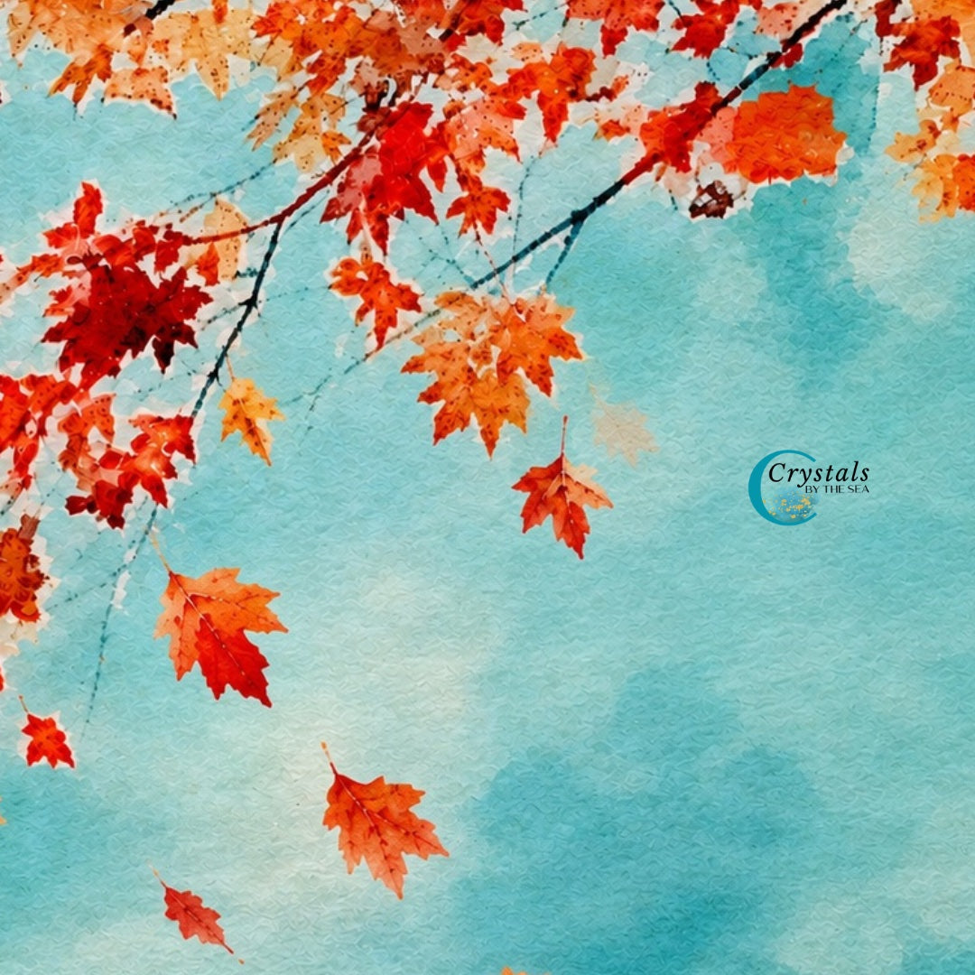 🍂 The Beauty of Letting Go