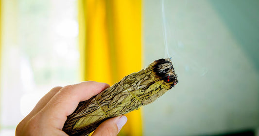 Harnessing the Power of SAGE for Clearing Energies and Culinary Delights