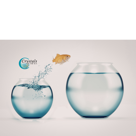 Growth Isn’t Always Comfortable—And That’s Okay