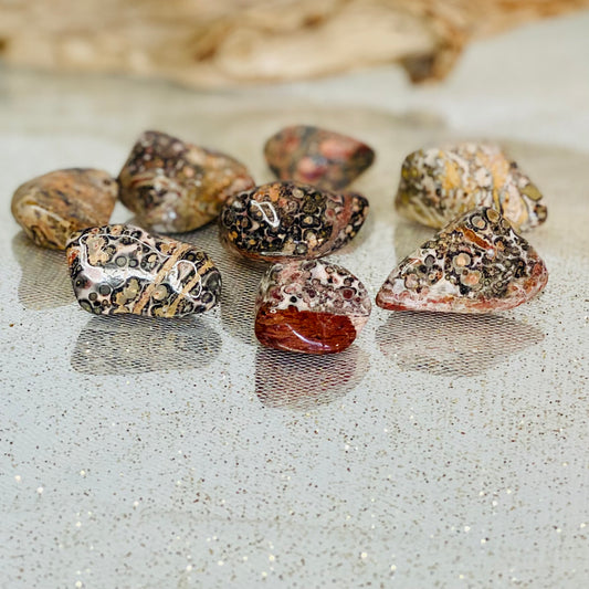Leopardskin Jasper Tumbled Stone - Natural Gemstone for Grounding and Protection