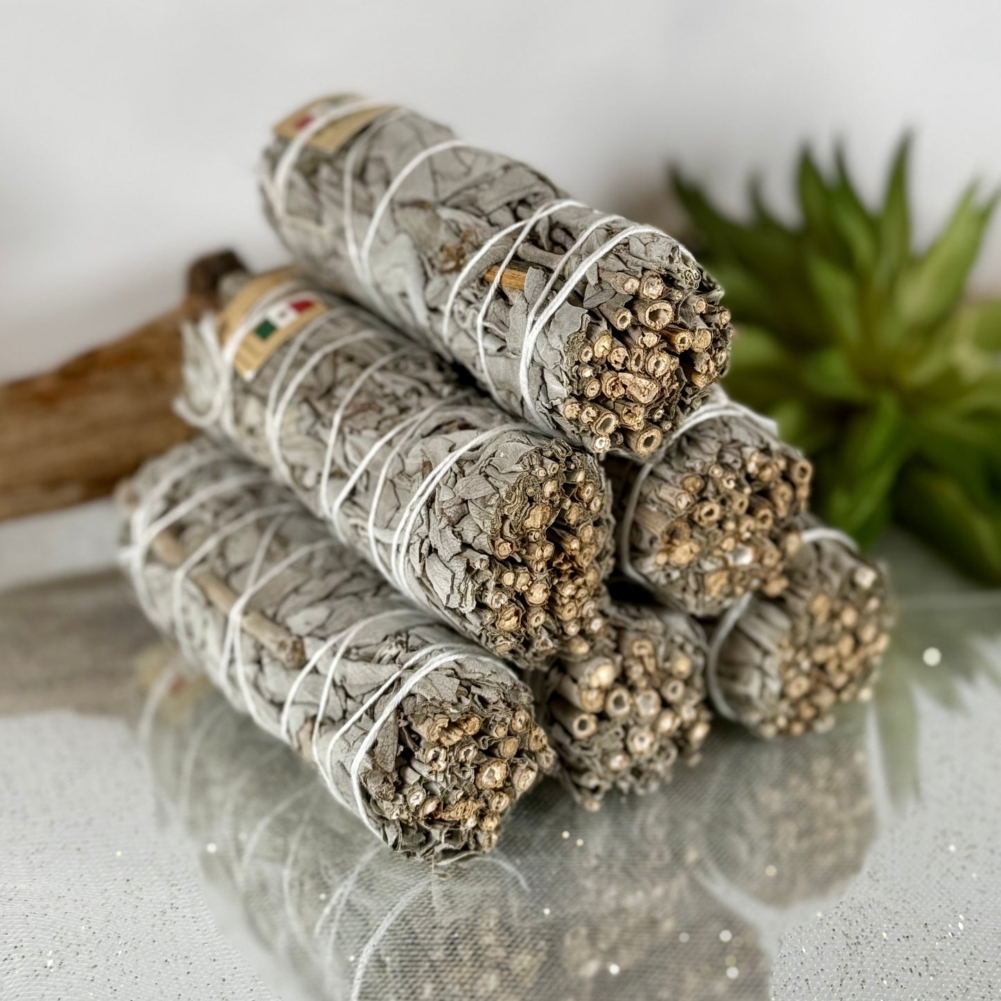 White Sage Bundle – 4” (Salvia apiana) from Mexico