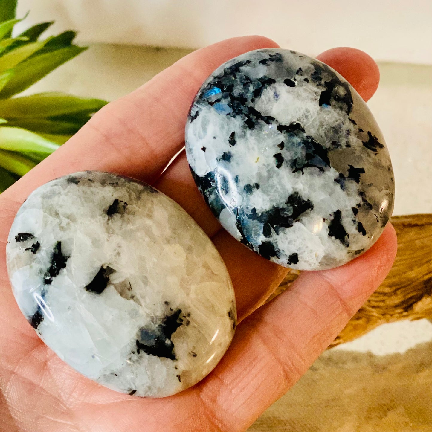 Rainbow Moonstone Palm Stone