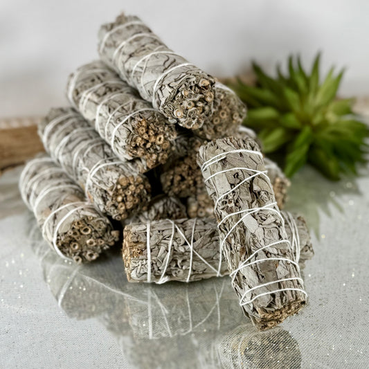 White Sage Bundle – 4” (Salvia apiana) from Mexico