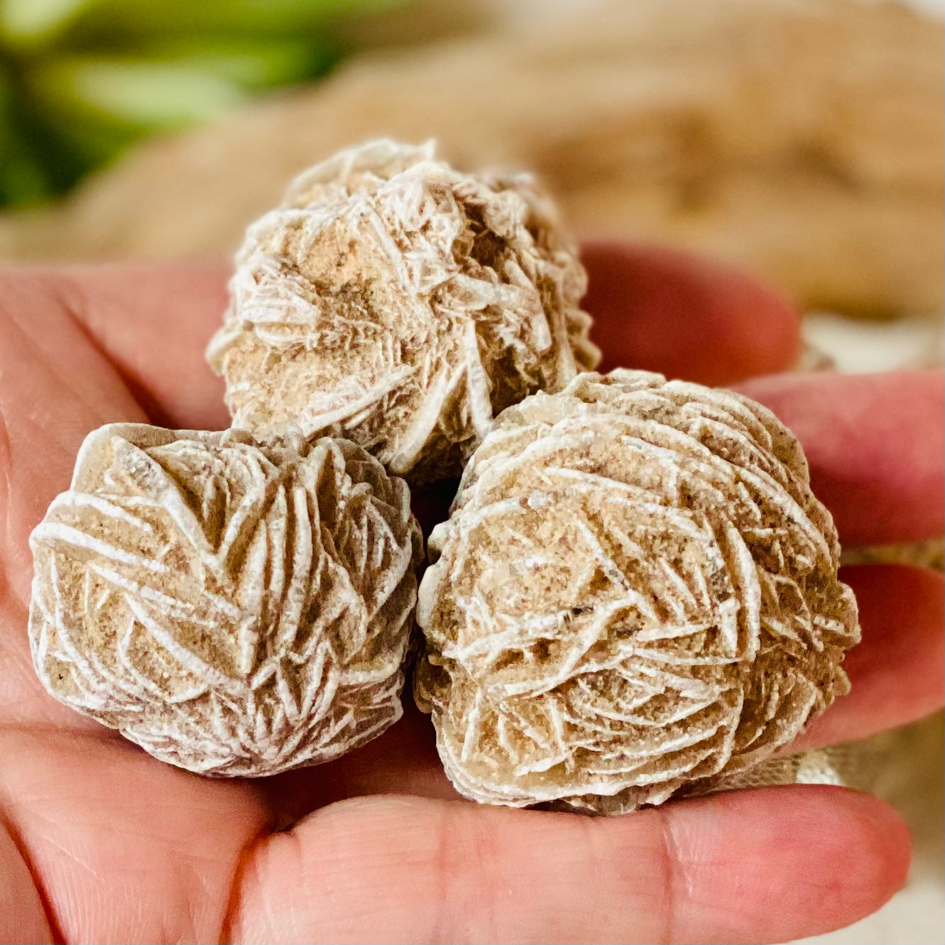 Desert Rose Raw Stone - Natural Beauty and Earthly Energies for Grounding!