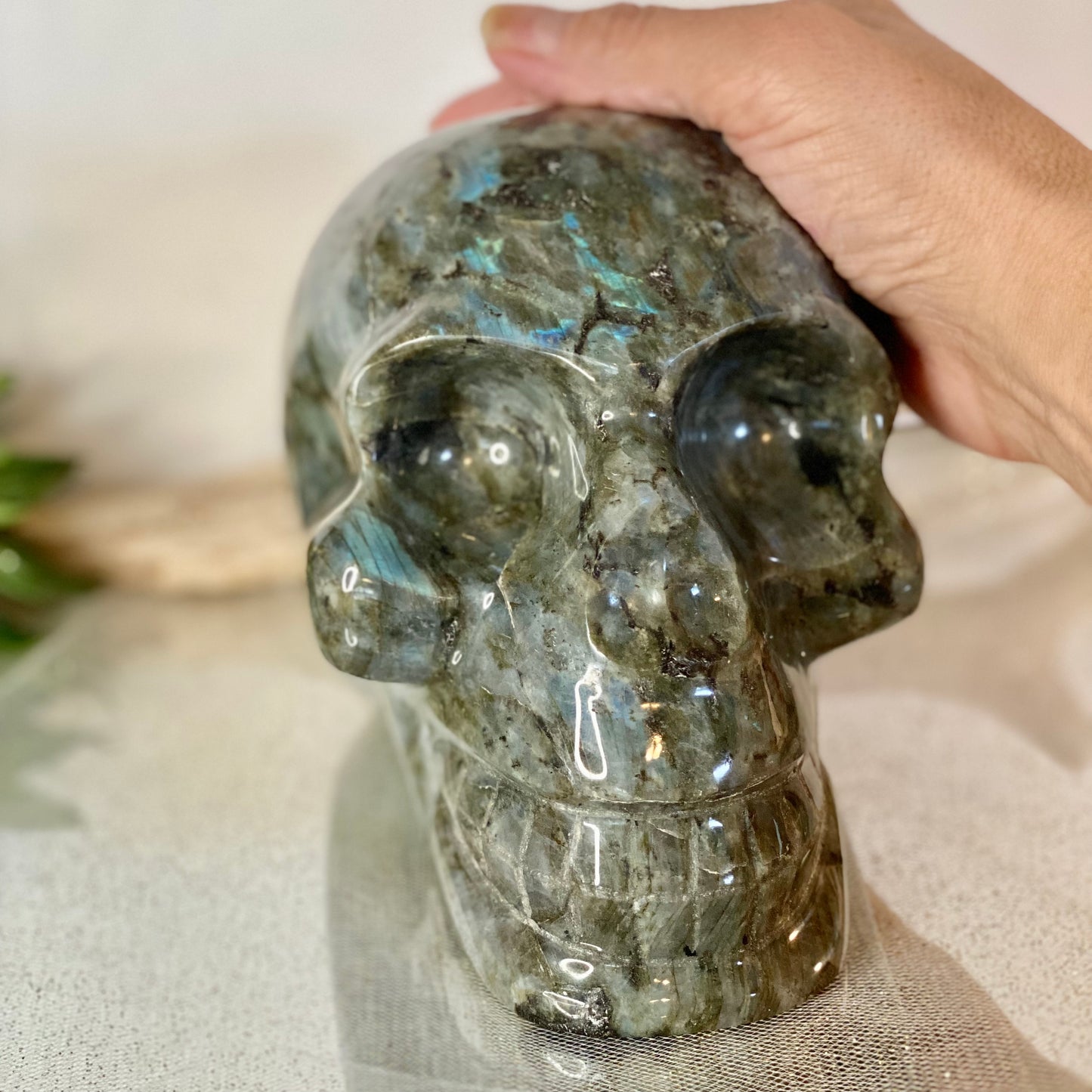 Labradorite Skull-CrystalbytheSeaLLC