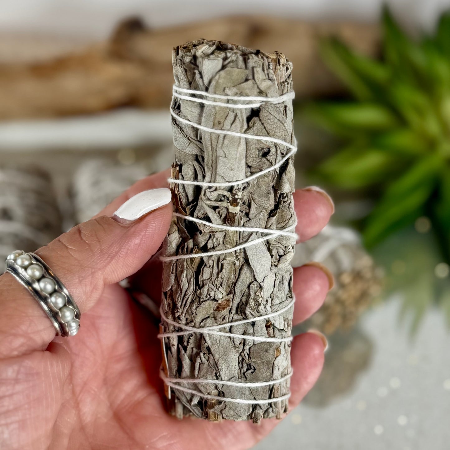 White Sage Bundle – 4” (Salvia apiana) from Mexico