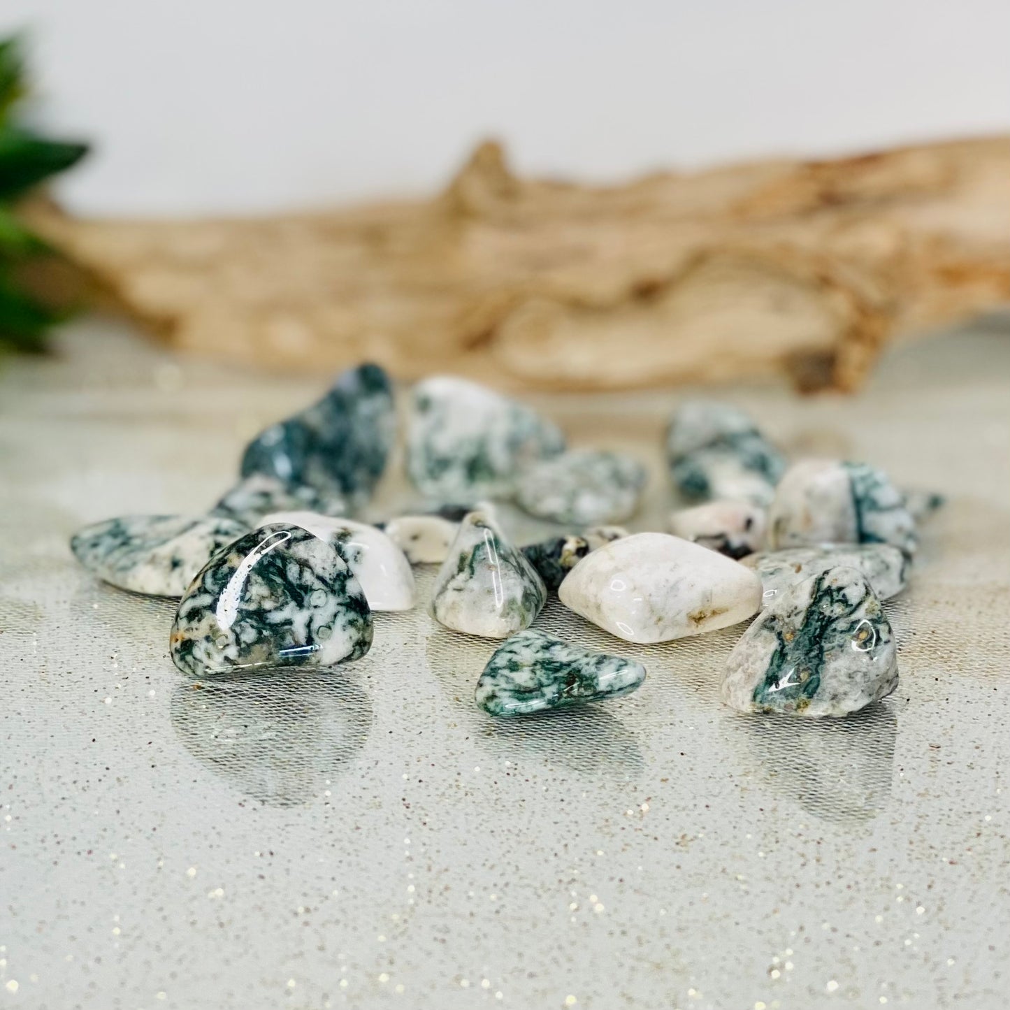 Tree Agate Tumbled Stones: Nature's Serene Embrace