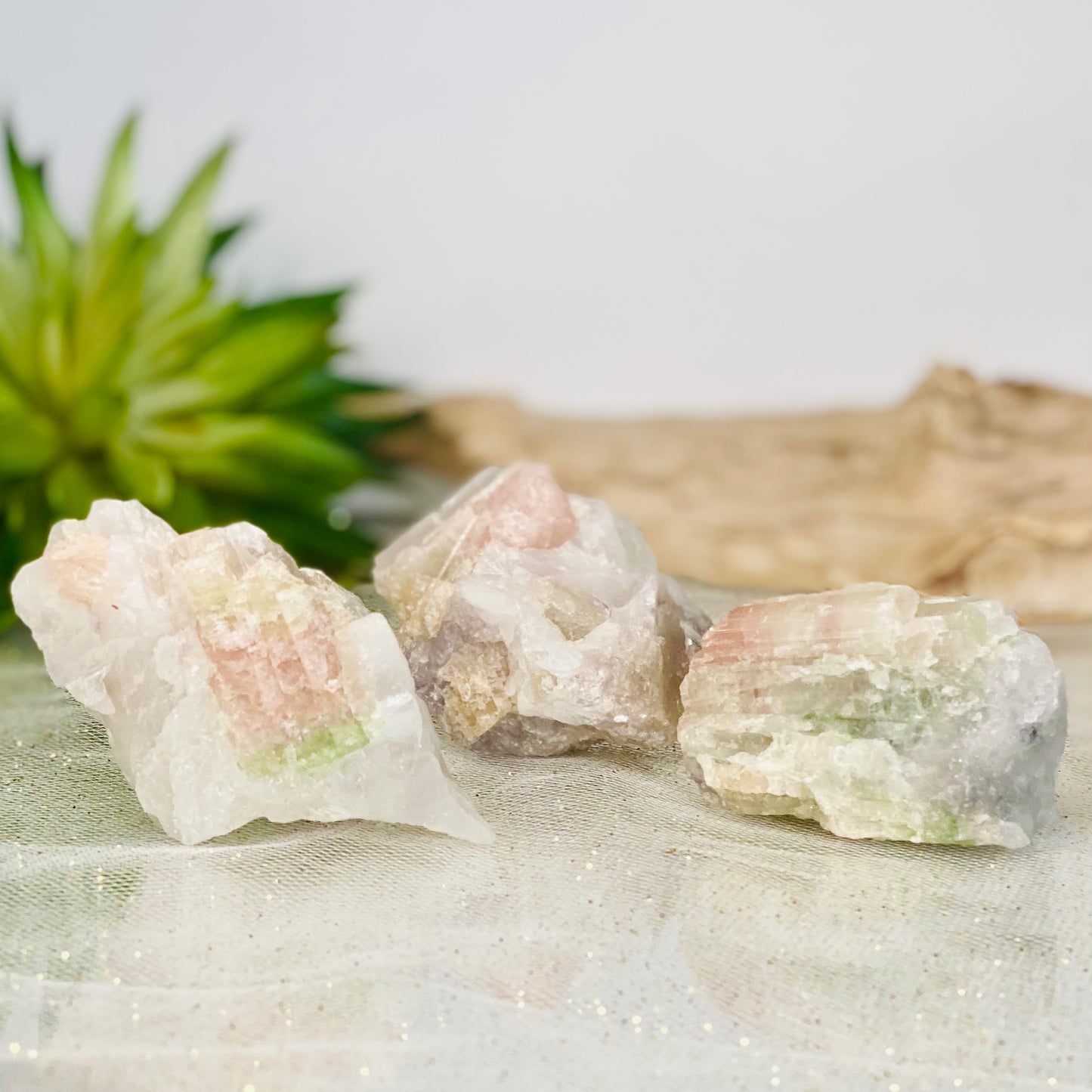 Watermelon Tourmaline Raw Crystals: Nature's Vivid Spectrum of Healing Energies for Love & Inner Peace