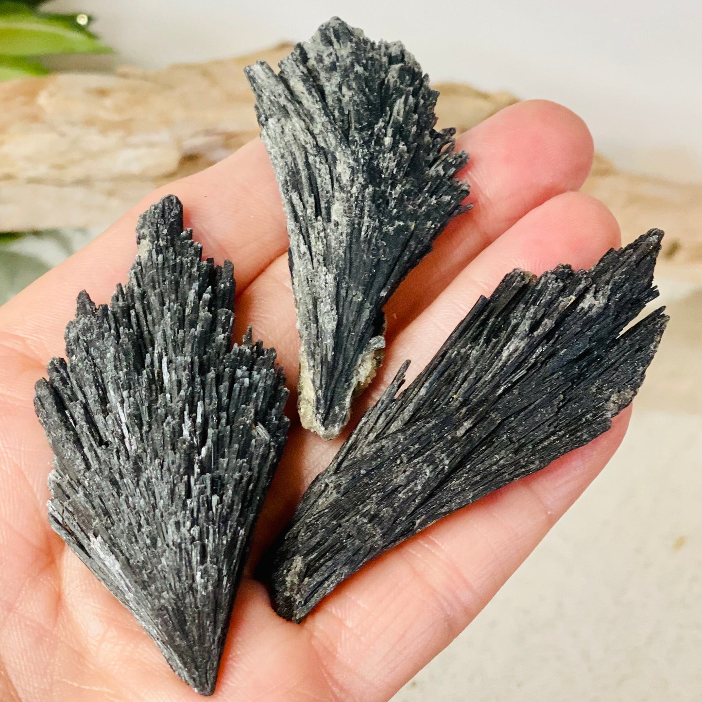 Black Kyanite Raw Crystal Blade - Energy Clearing Tool