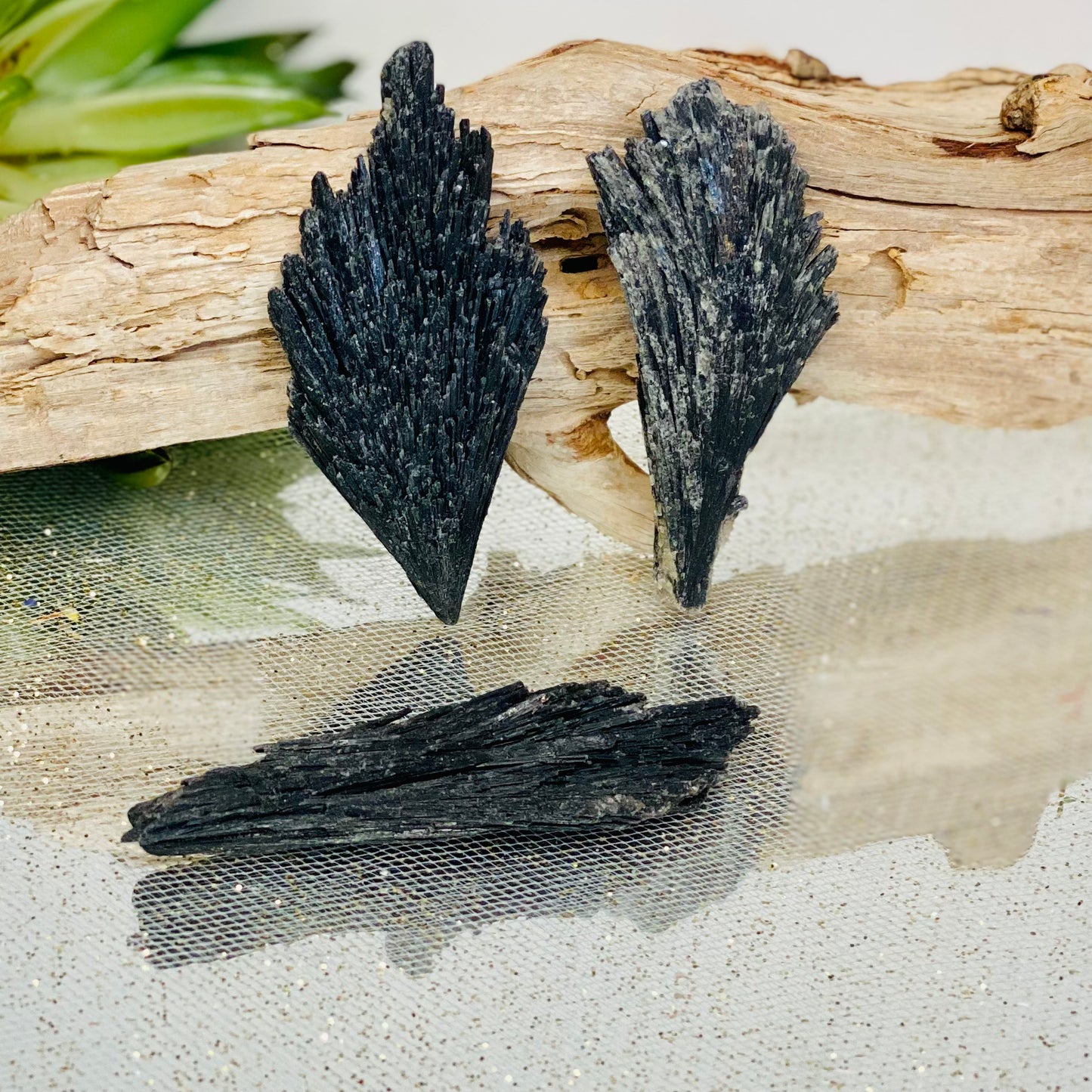 Black Kyanite Raw Crystal Blade - Energy Clearing Tool