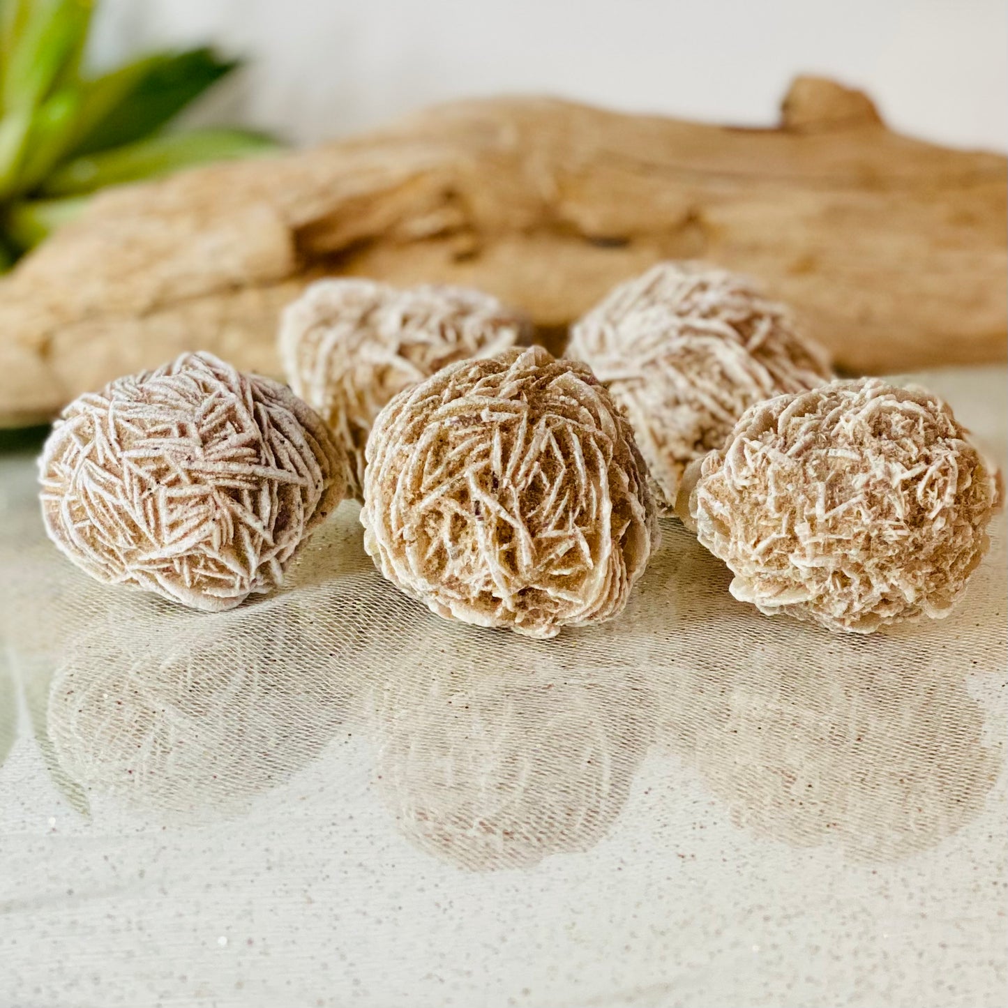 Desert Rose Raw Stone - Natural Beauty and Earthly Energies for Grounding!