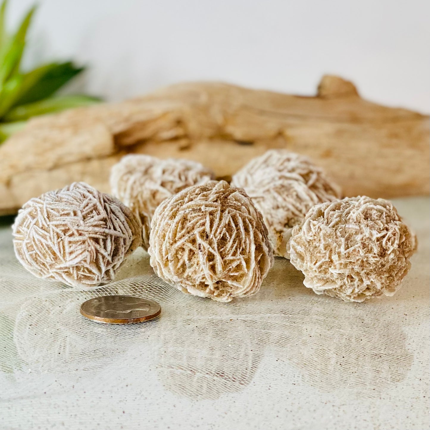 Desert Rose Raw Stone - Natural Beauty and Earthly Energies for Grounding!