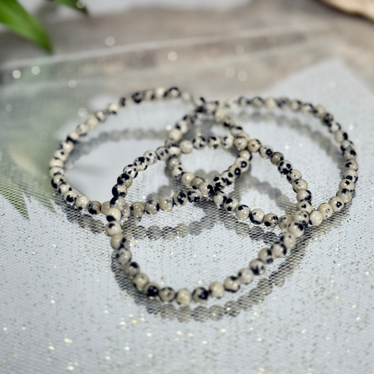 Dalmatian Jasper Mini Boho Stretch Bracelet