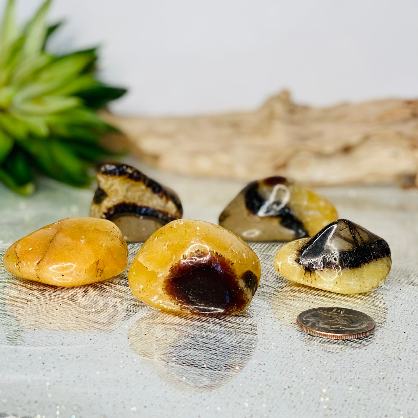 Madagascar Septarian Tumbled Stones: Earth's Ancient Secrets