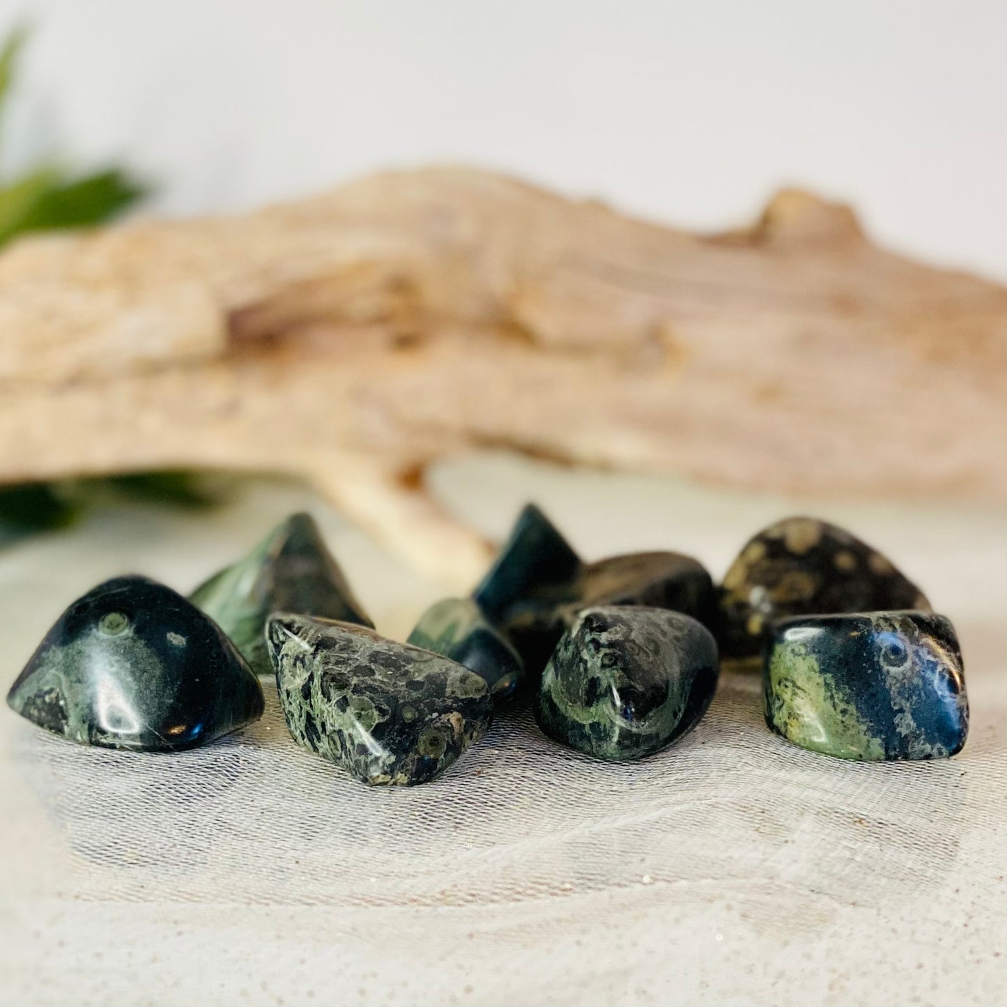 Energize and Protect with Kambaba Jasper Tumbled Stones